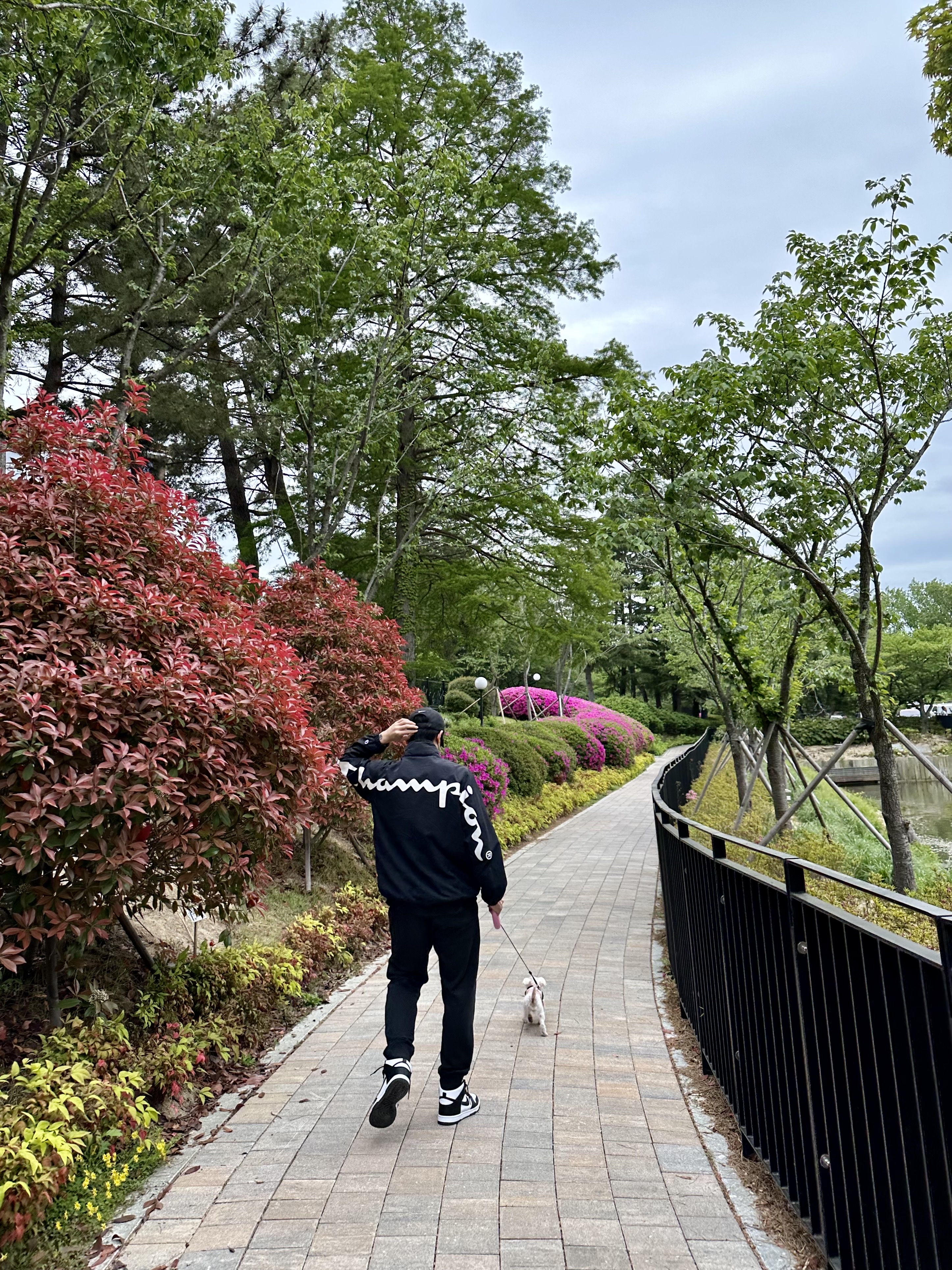 Supreme Champion Track Jacket Black - 18SS, Supreme Property Label S/S Top Black - 22FW 착용 스타일 - 4