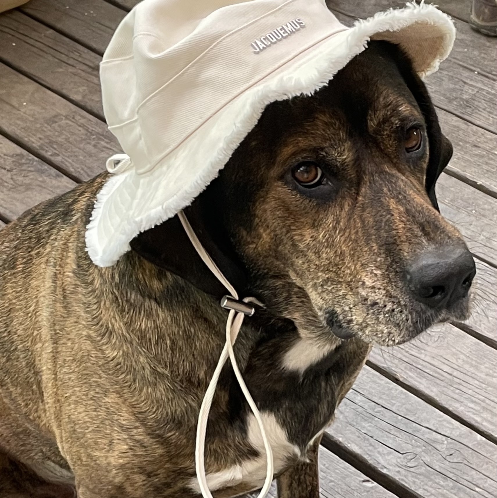 Jacquemus Le Bob Artichaut Bucket Hat Off White 착용 스타일 - 3