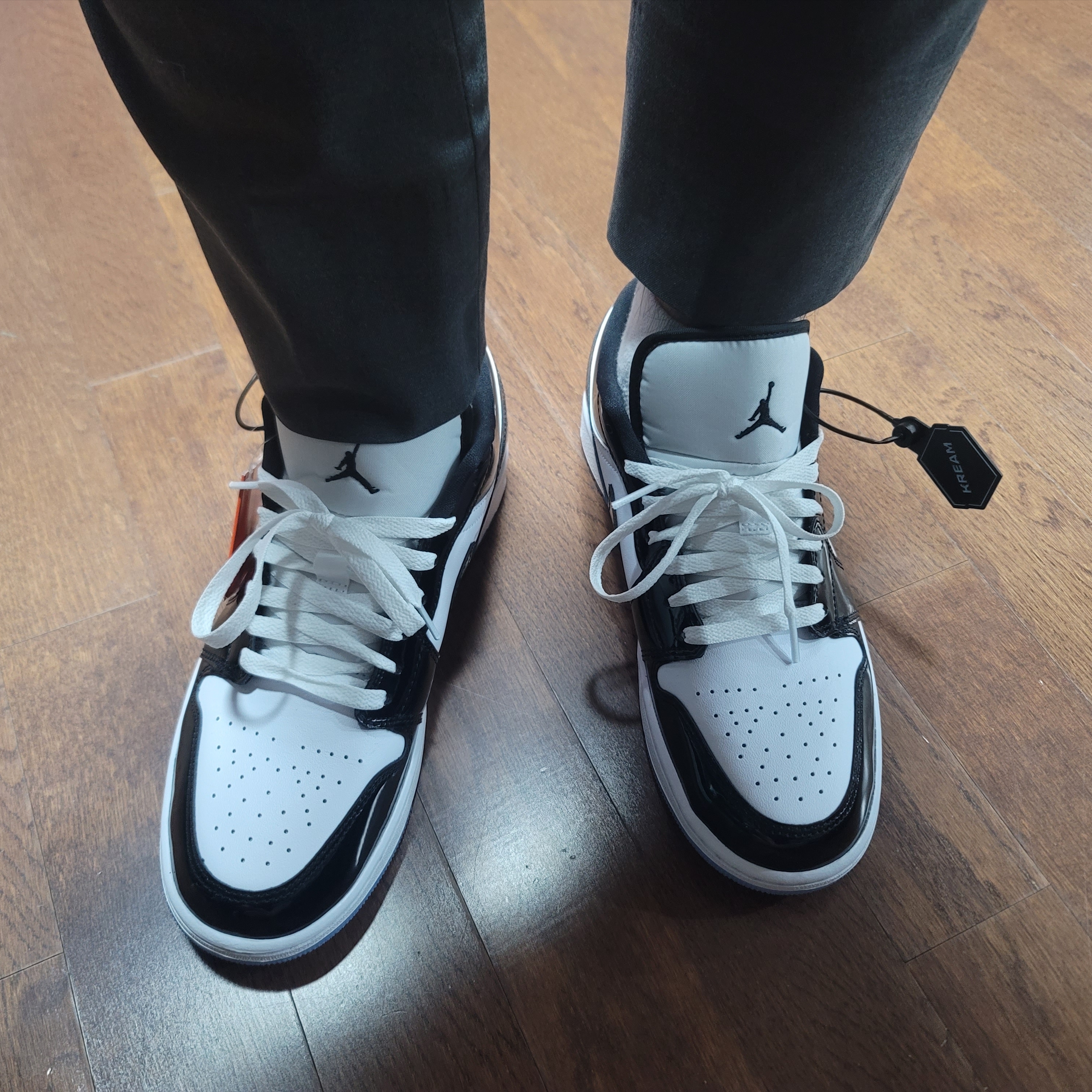 Jordan 1 Low SE Concord 착용 스타일