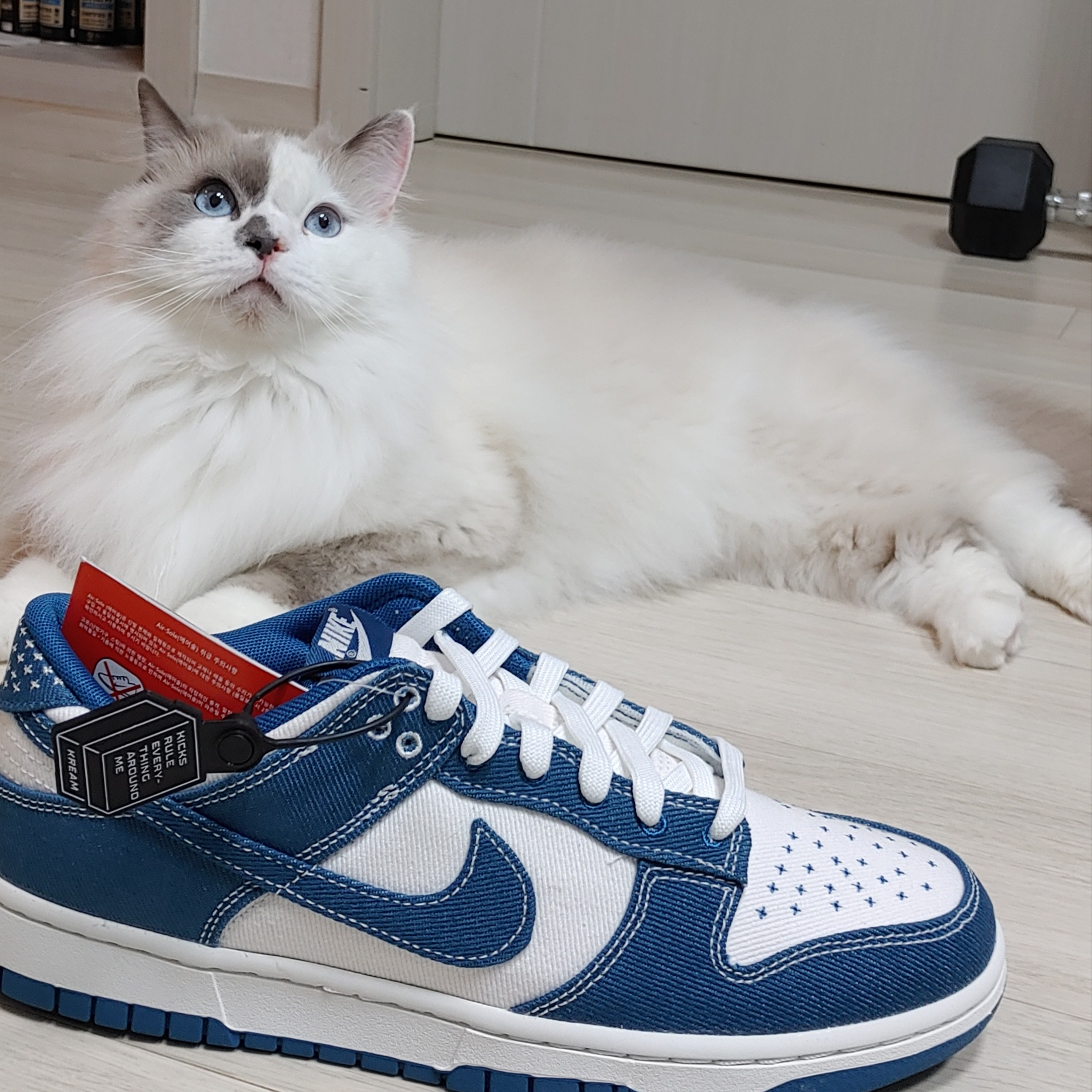 Nike Dunk Low Retro SE Industrial Blue 착용 스타일 - 2
