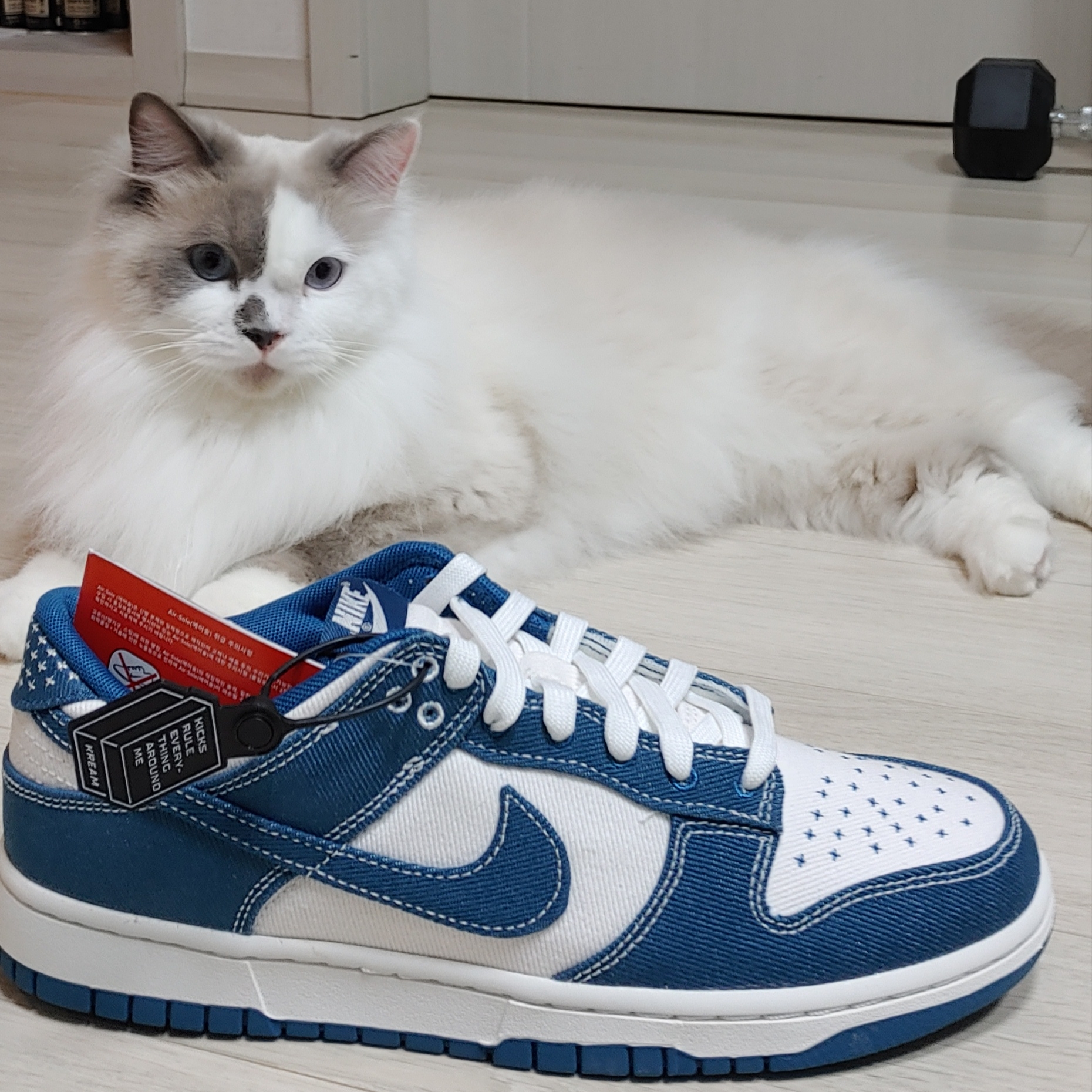 Nike Dunk Low Retro SE Industrial Blue 착용 스타일 - 1