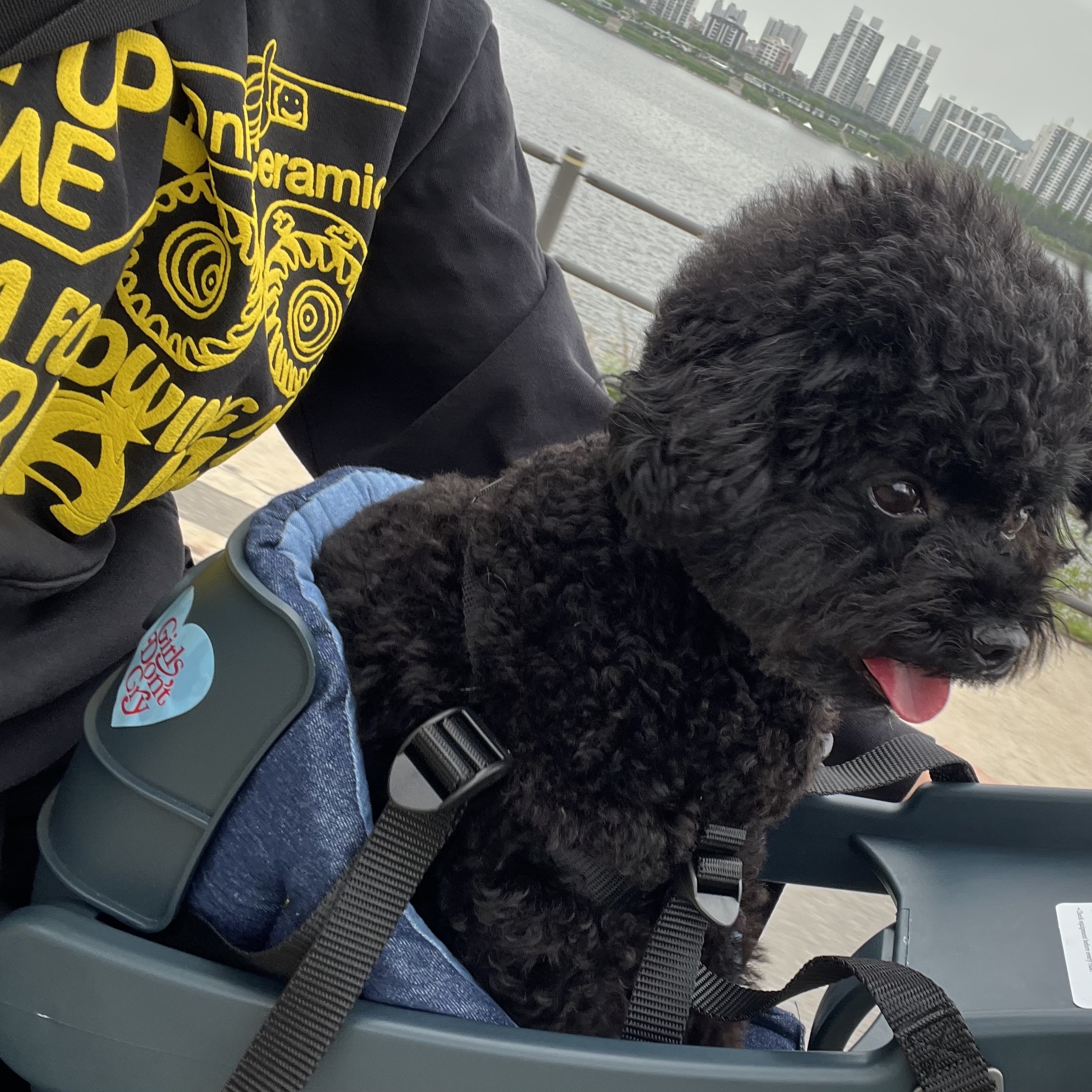 _님의 스타일