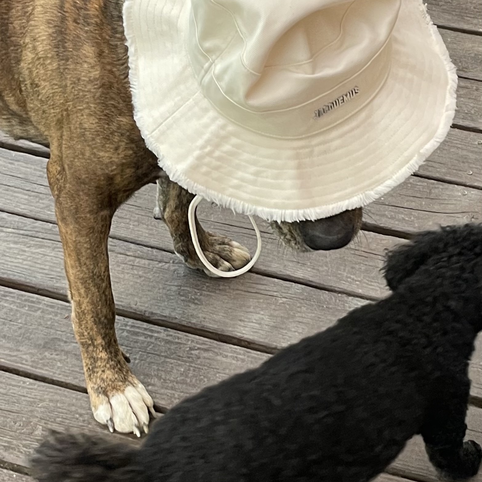 Jacquemus Le Bob Artichaut Bucket Hat Off White 착용 스타일 - 2