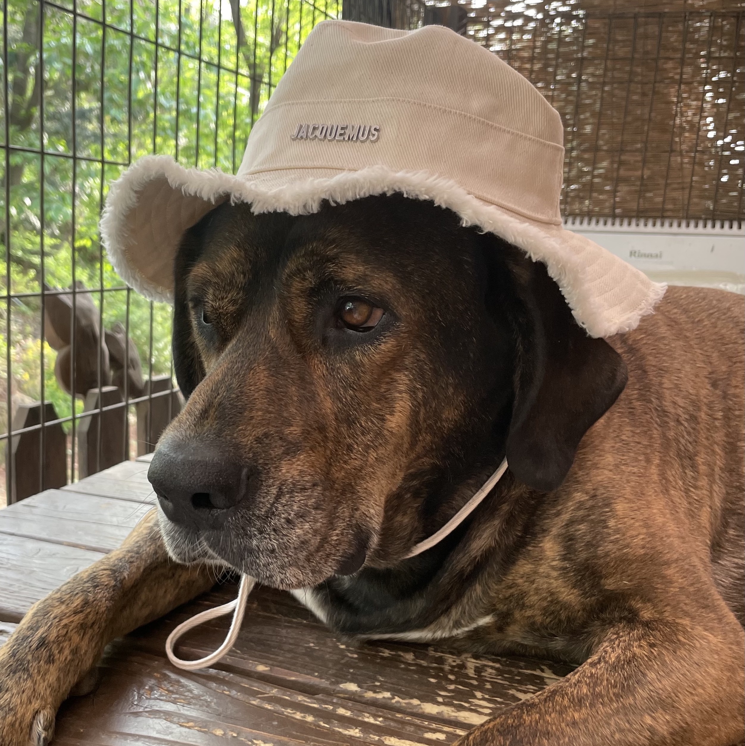 Jacquemus Le Bob Artichaut Bucket Hat Off White 착용 스타일 - 1
