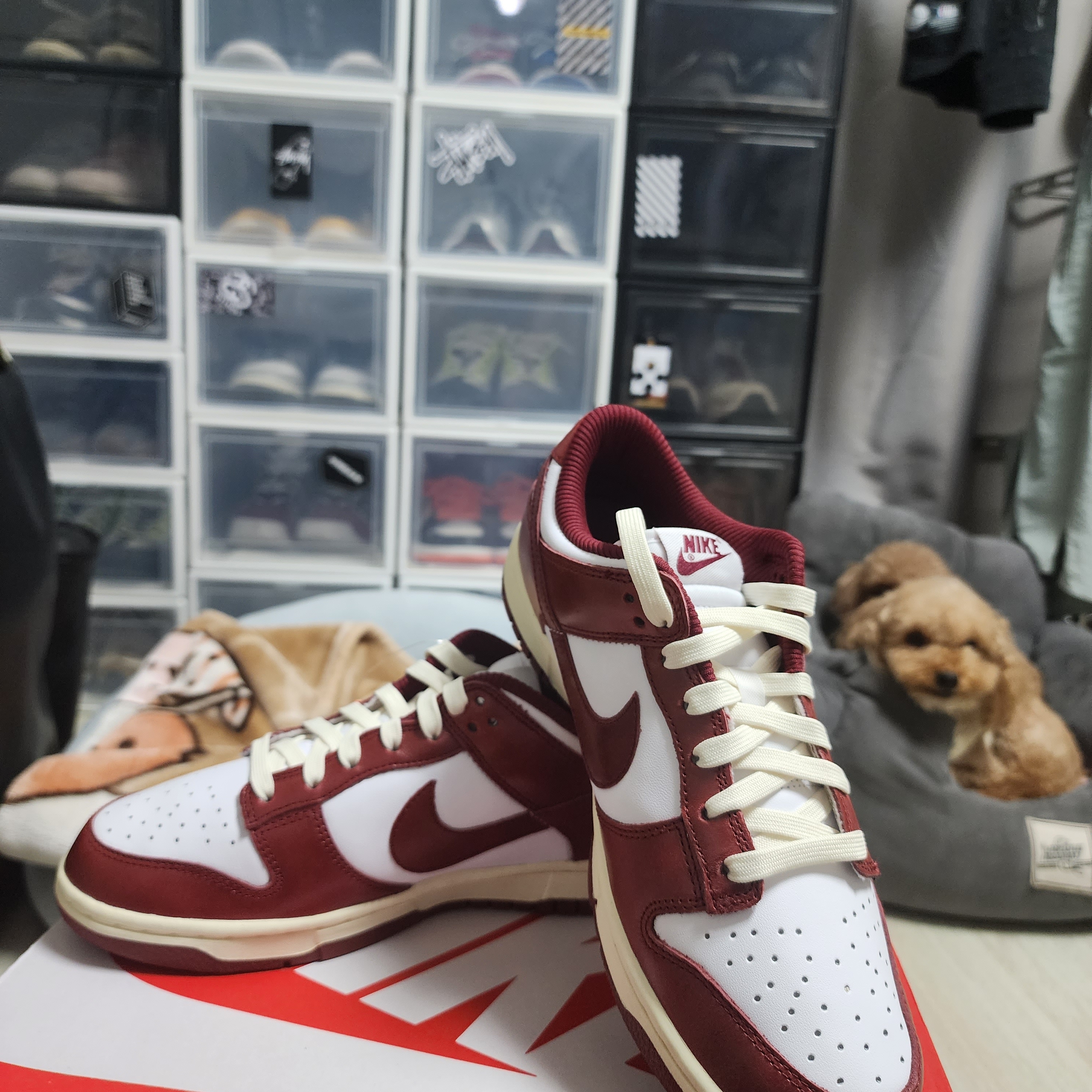 (W) Nike Dunk Low Retro PRM Team Red and White 착용 스타일 - 3