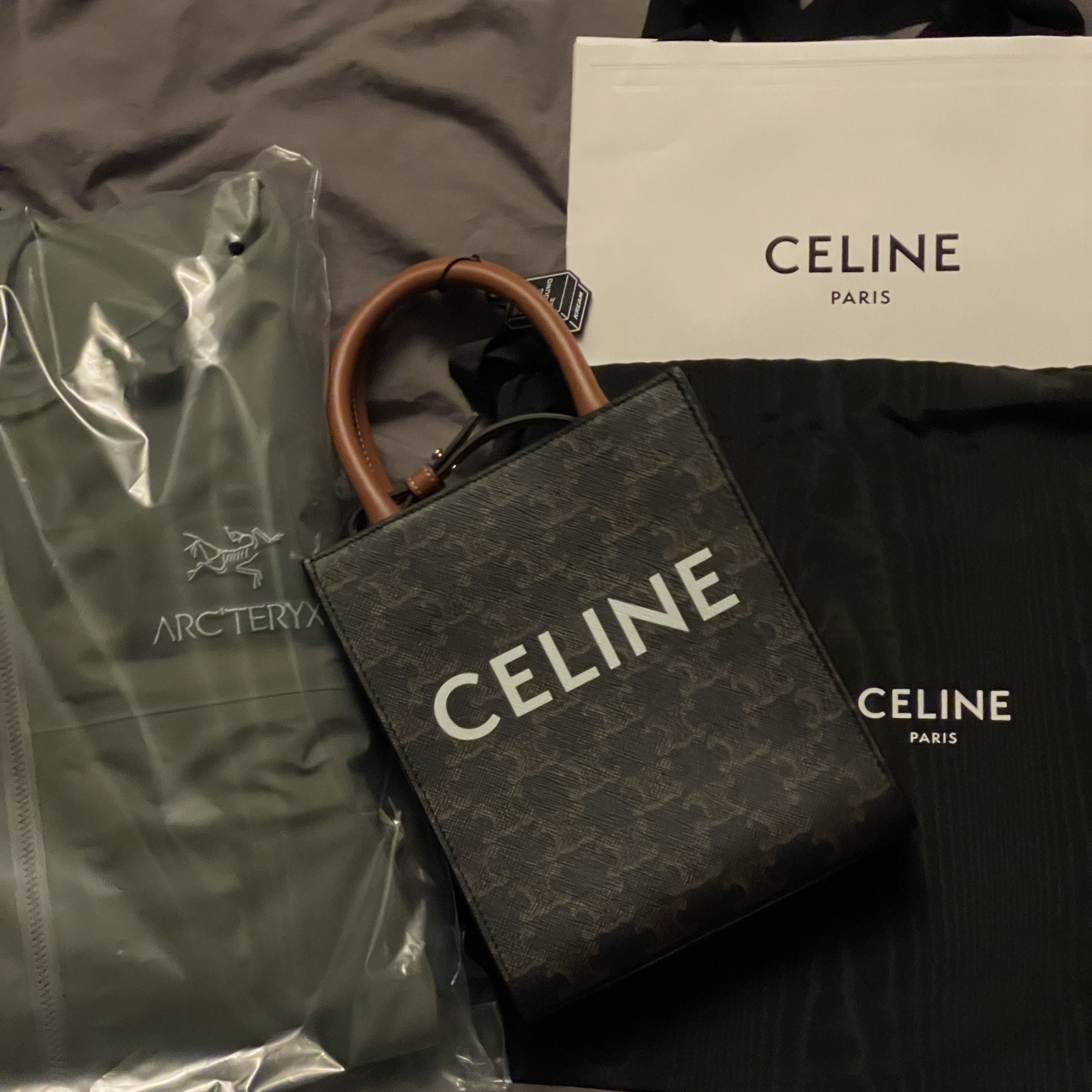 Celine Mini Vertical Cabas in Triomphe Canvas and Calfskin with Celine Print Tan, Arc'teryx Beta Jacket Forage 착용 스타일