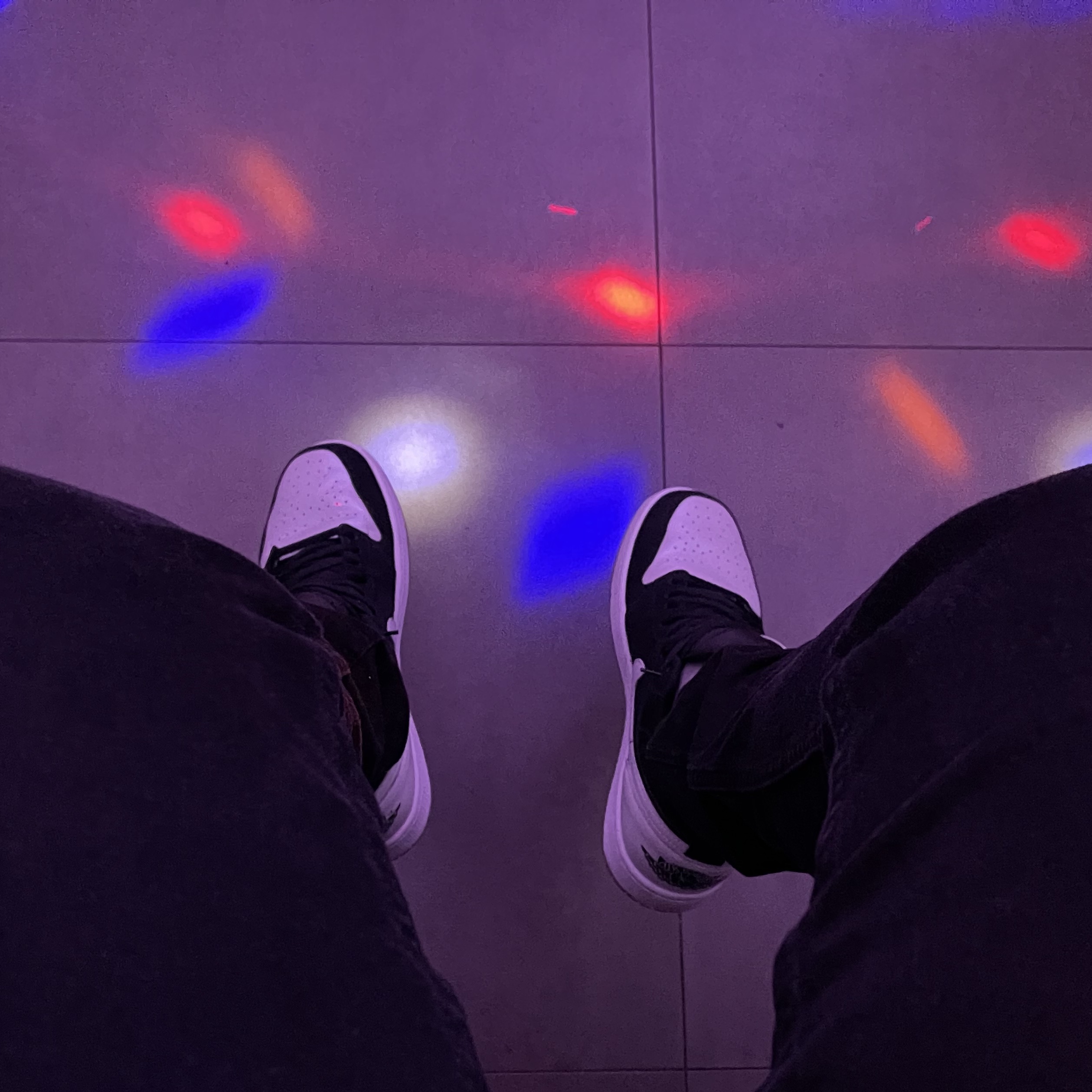 Jordan 1 Low SE Diamond 착용 스타일