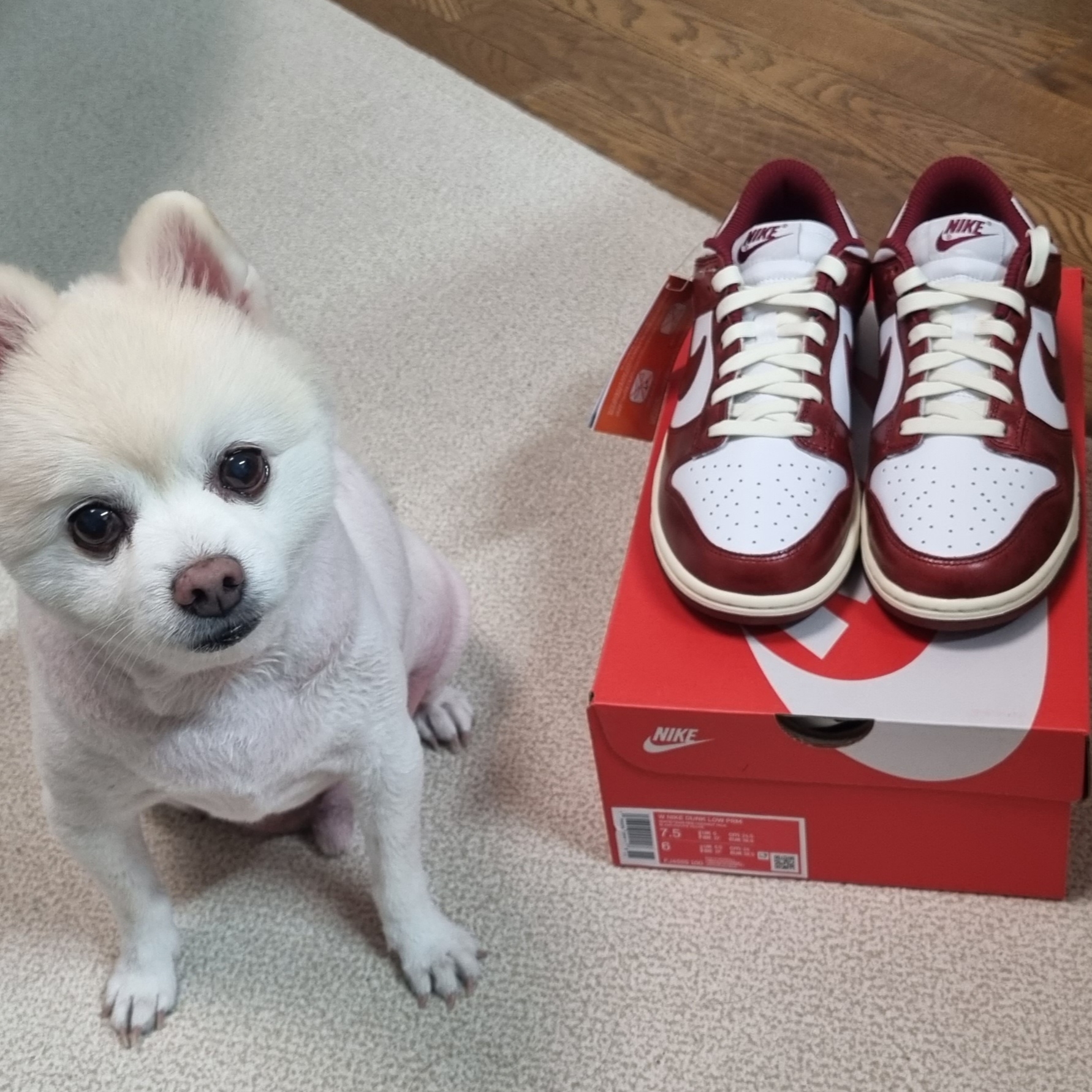 (W) Nike Dunk Low Retro PRM Team Red and White 착용 스타일
