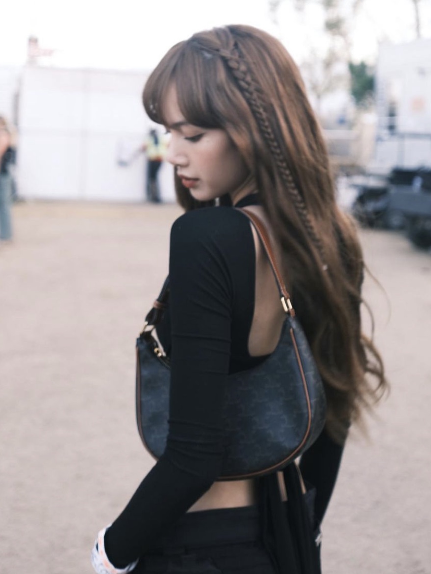 Celine Ava Bag in Triomphe Canvas and Calfskin Tan 착용 스타일 - 4