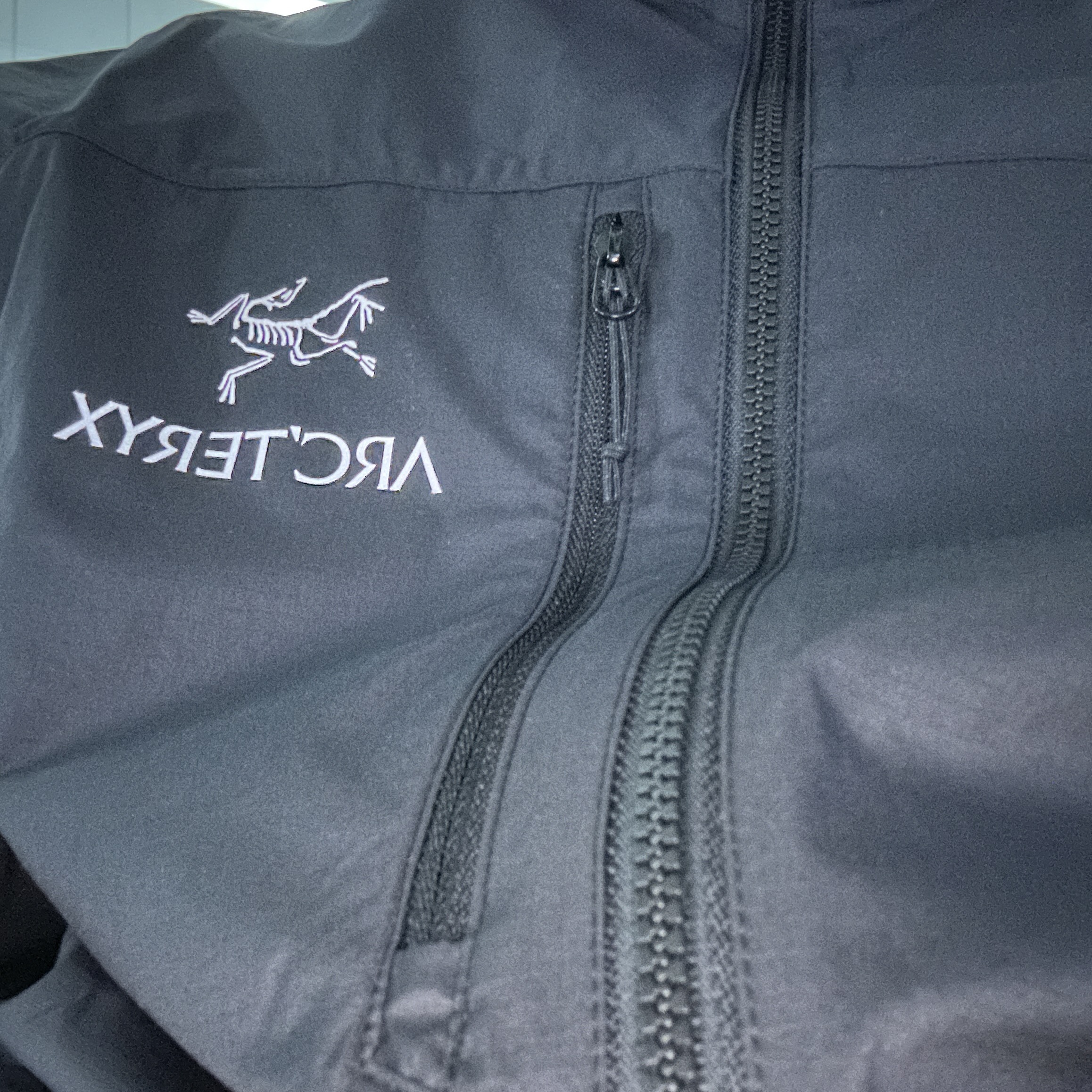 Arc'teryx Squamish Hoody Black 착용 스타일