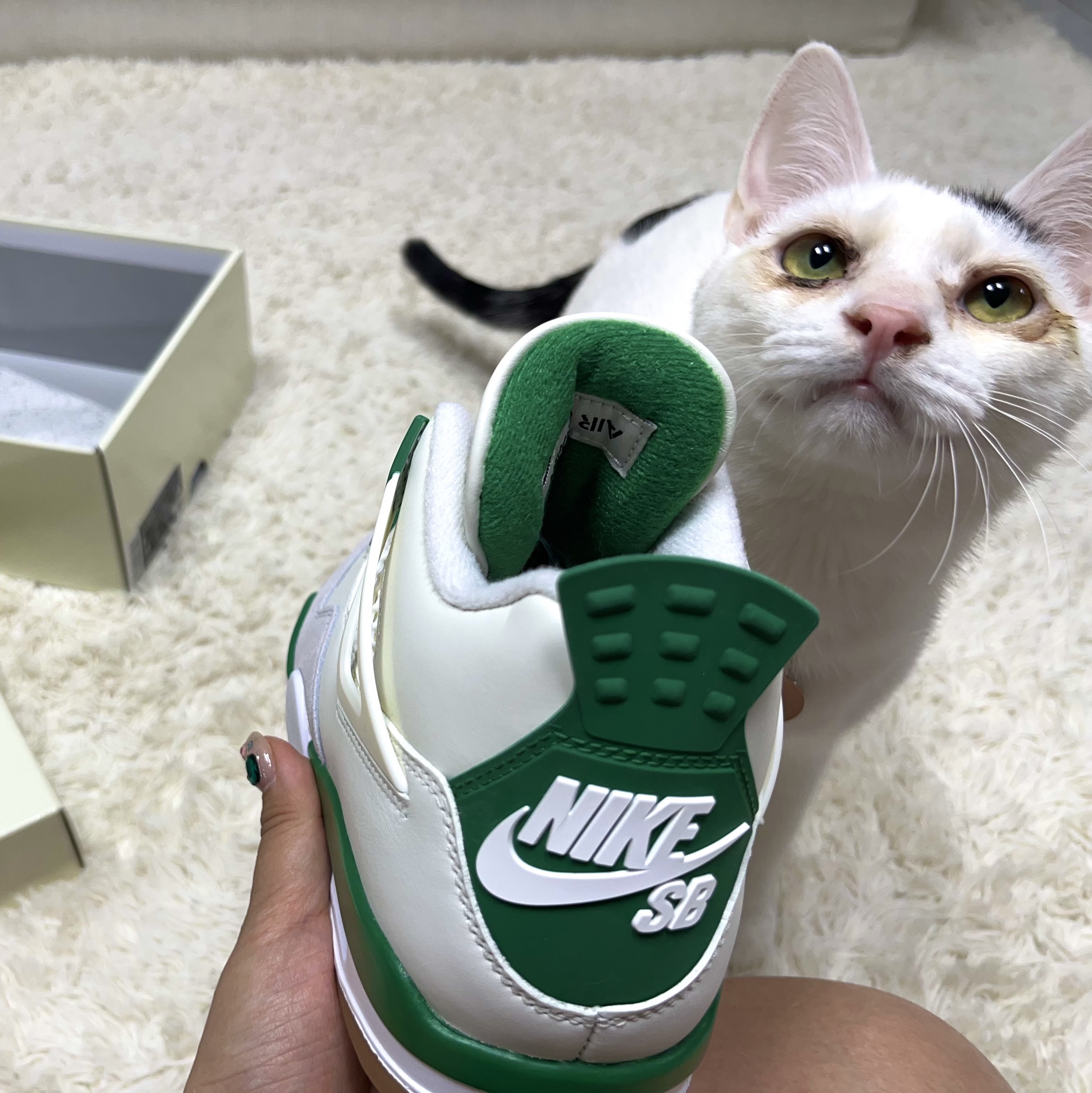 Jordan 4 x Nike SB Retro SP Pine Green 착용 스타일