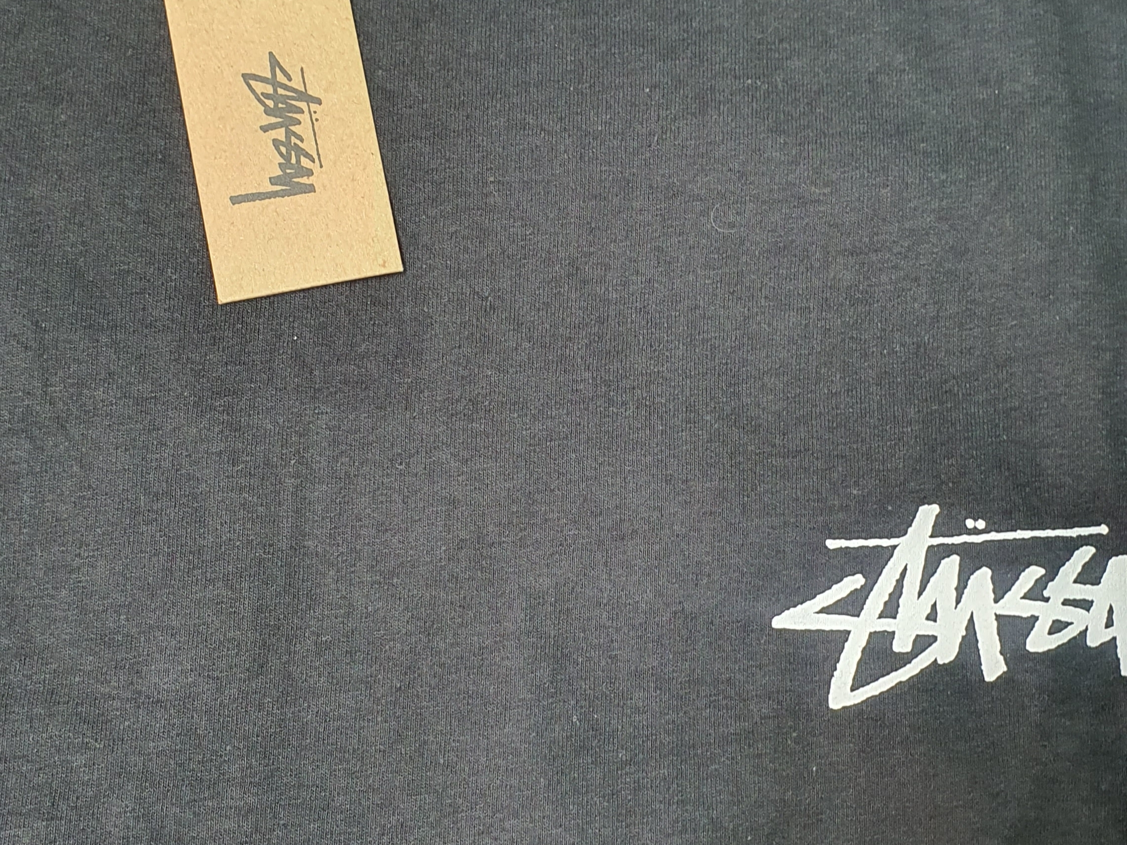 Stussy Gold Lion T-Shirt Black 착용 스타일 - 2