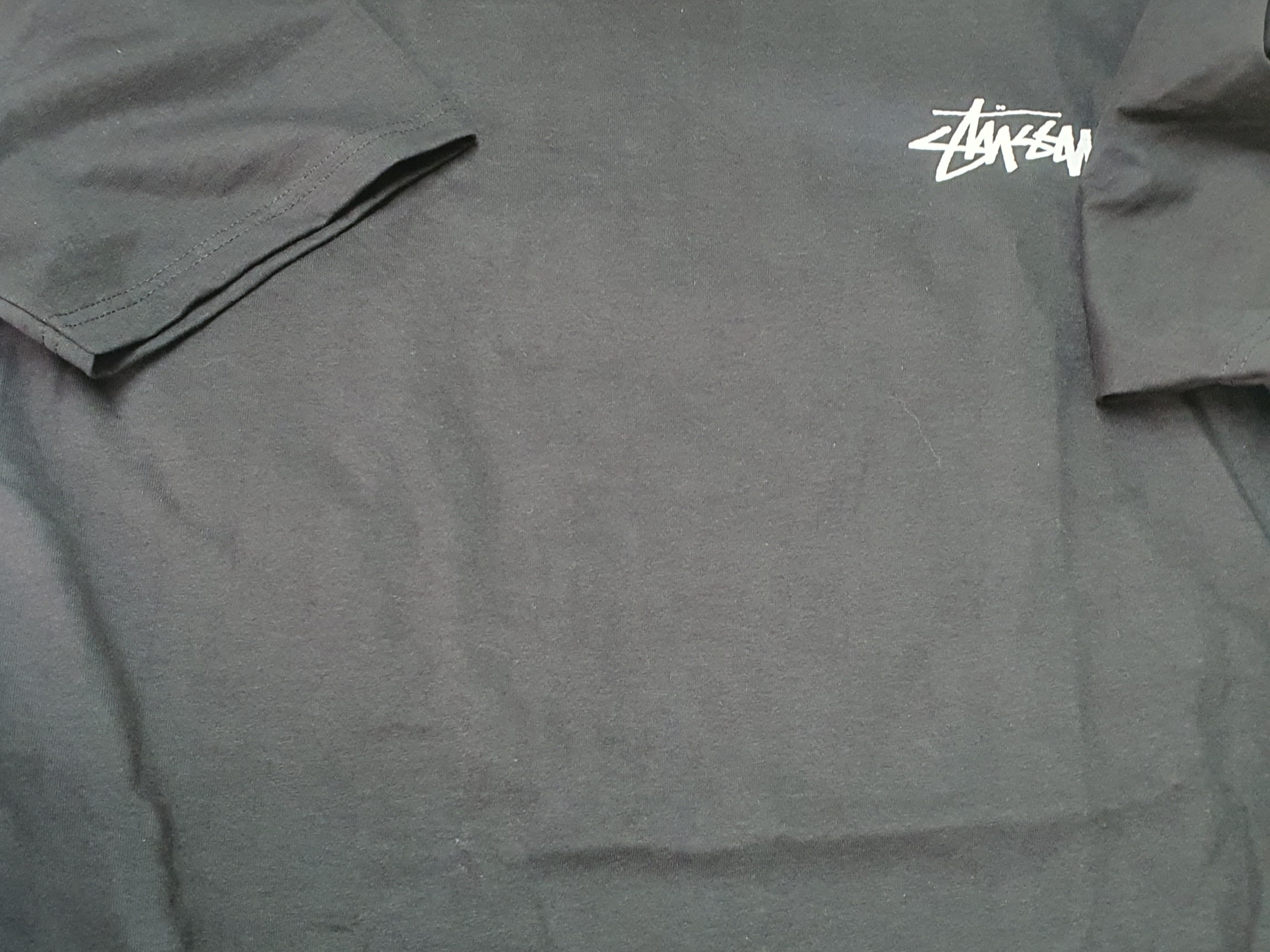 Stussy Gold Lion T-Shirt Black 착용 스타일 - 3