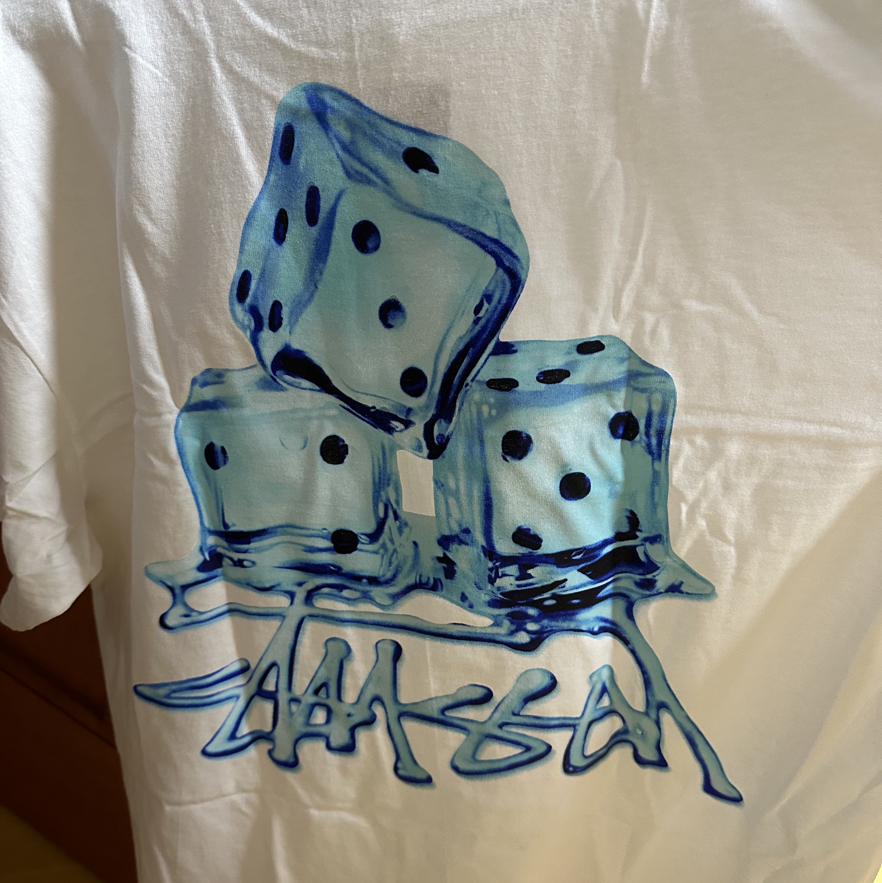 Stussy Melted T-Shirt White 착용 스타일