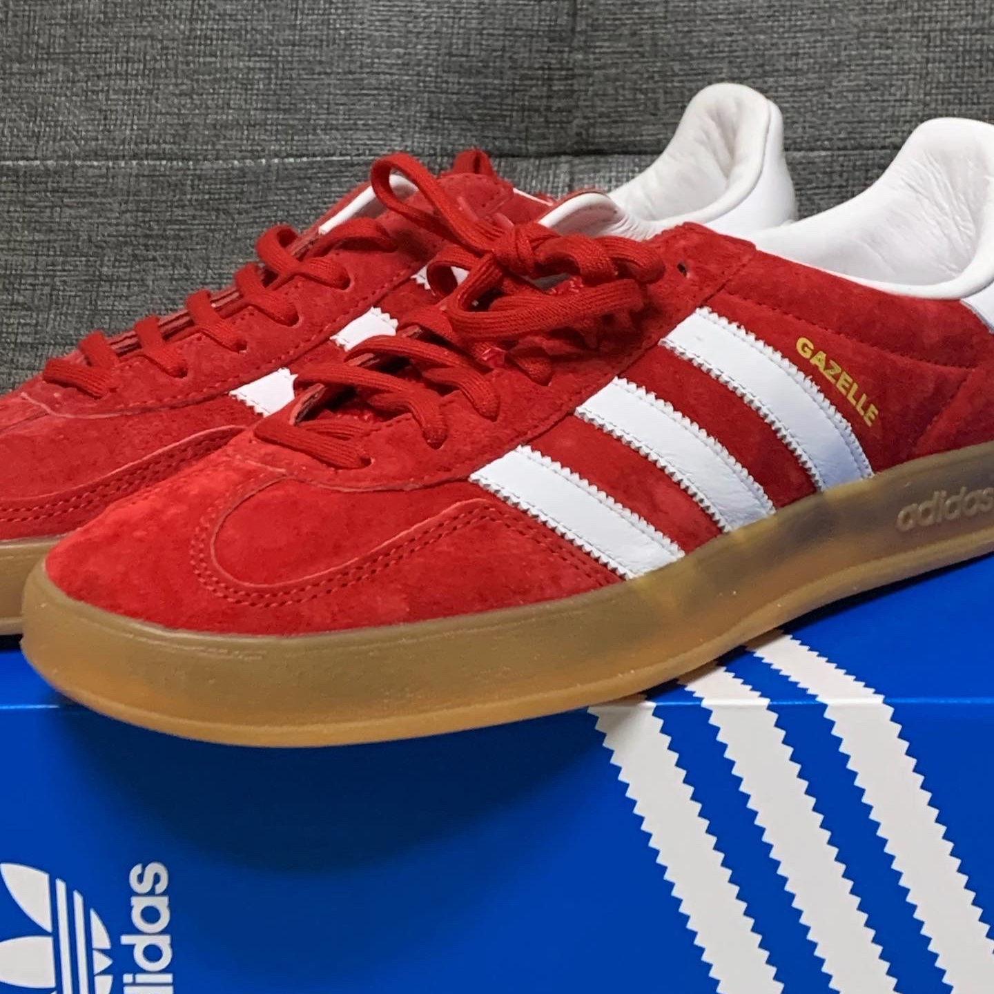 Adidas Gazelle Indoor Scarlet 착용 스타일 - 5