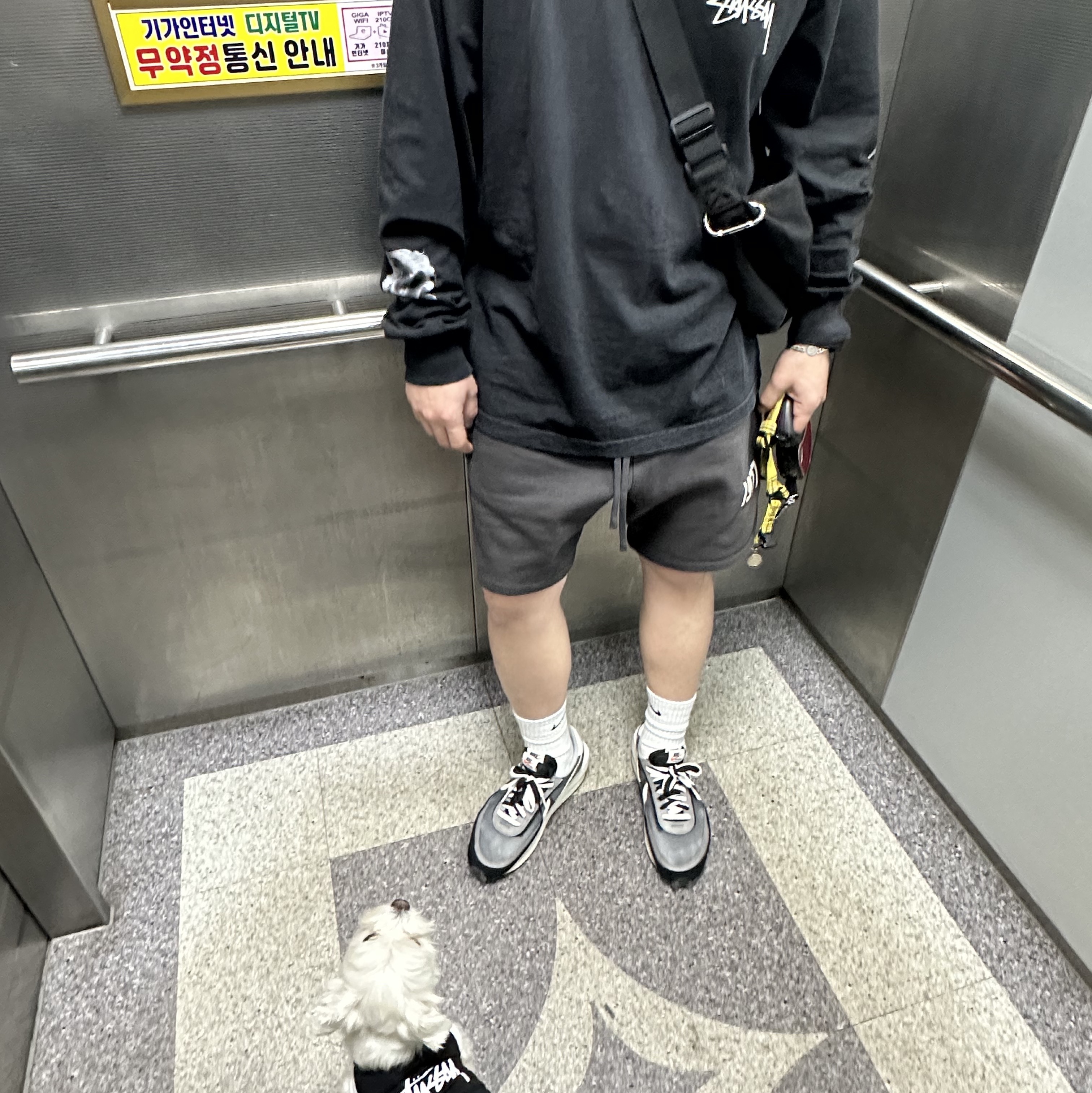 Stussy Stars LS T-Shirt Black, Essentials 1977 Shorts Iron - 22SS 착용 스타일