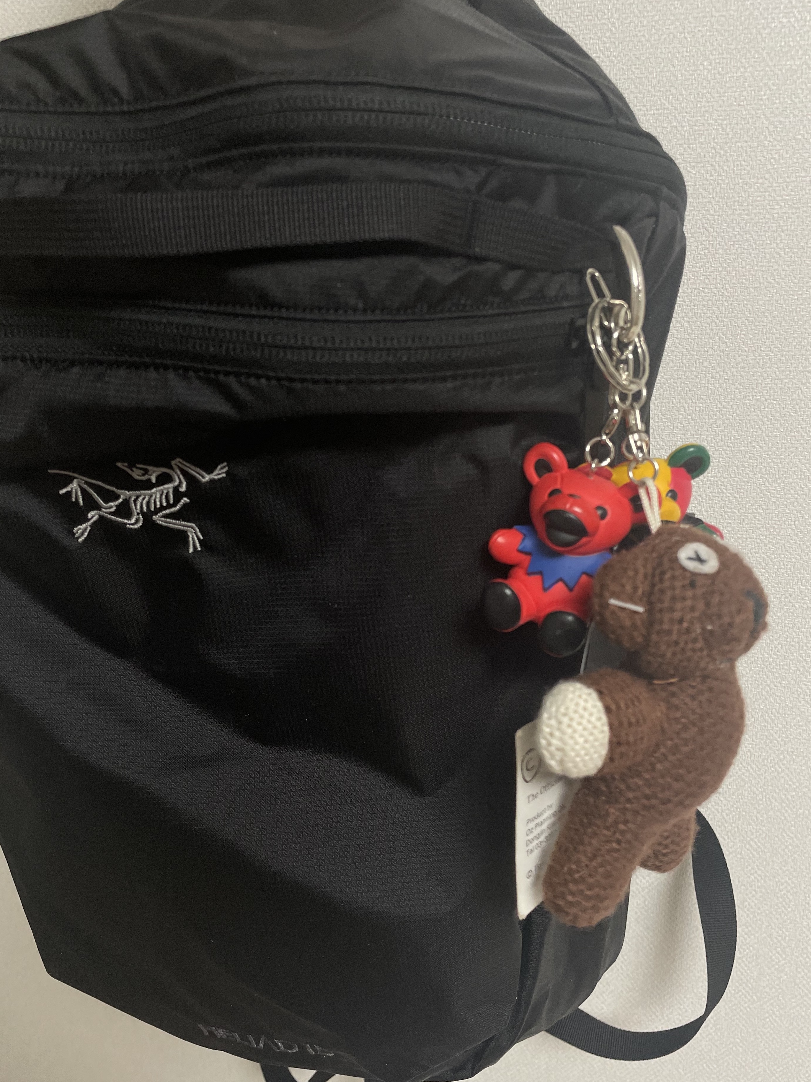 Arc'teryx Heliad 15 Backpack Black 착용 스타일 - 1