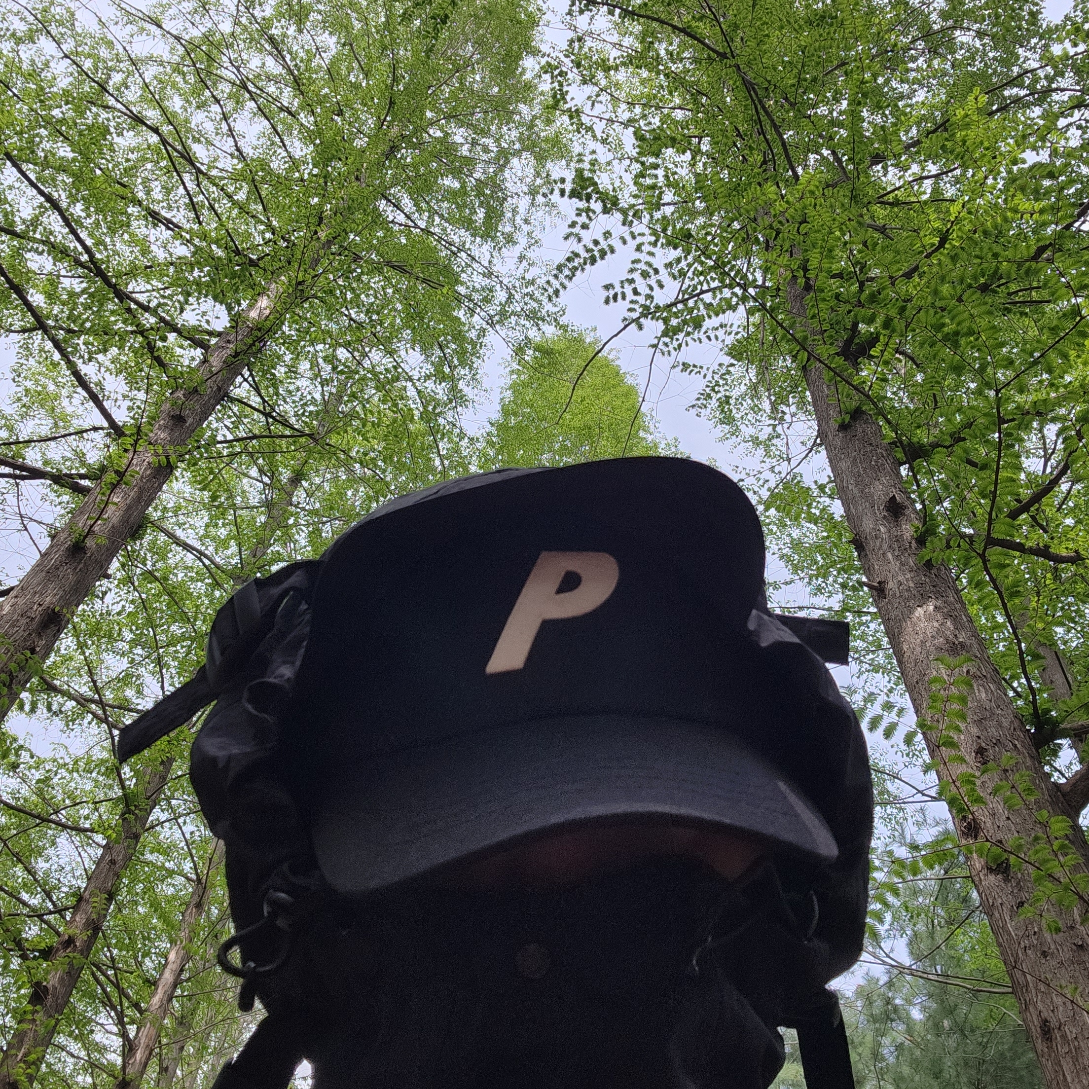 Palace Canvas P 6-Panel Black - 21FW 착용 스타일