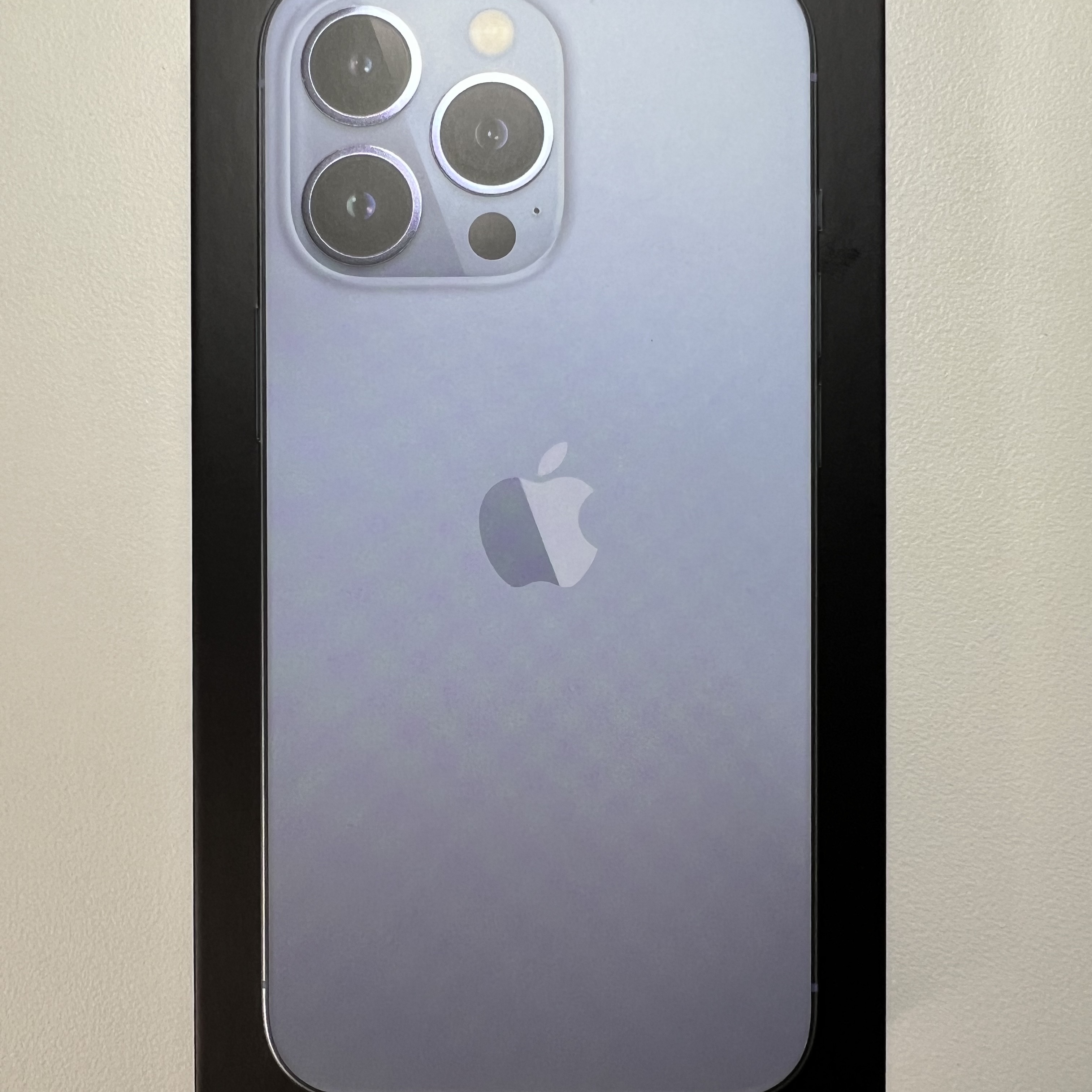 Apple iPhone 13 Pro 128GB Sierra Blue (Korean Ver.) 착용 스타일