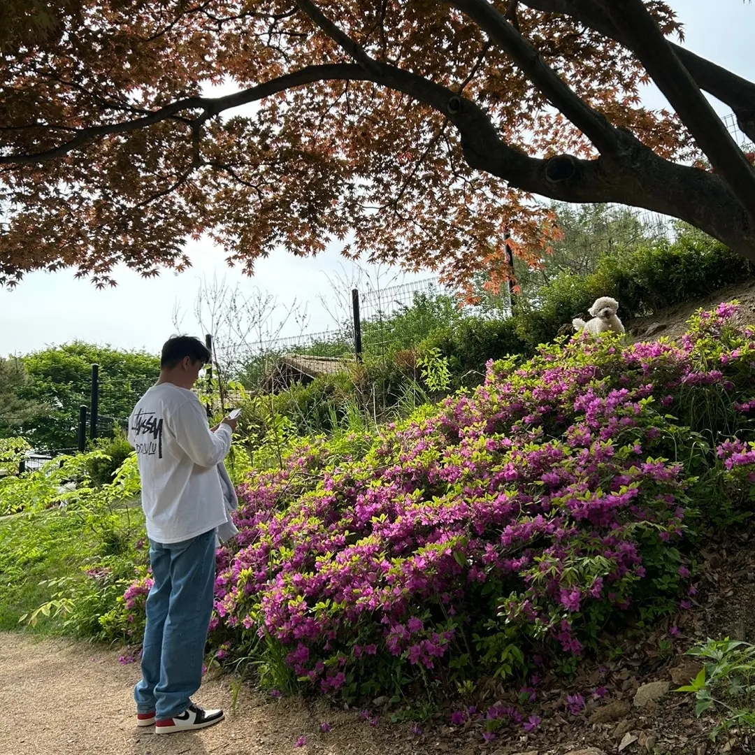 스투시 블록 스포츠 후드 집업 애쉬 헤더, 조던 1 x 유니온 레트로 하이 블랙토 착용 스타일 - 3