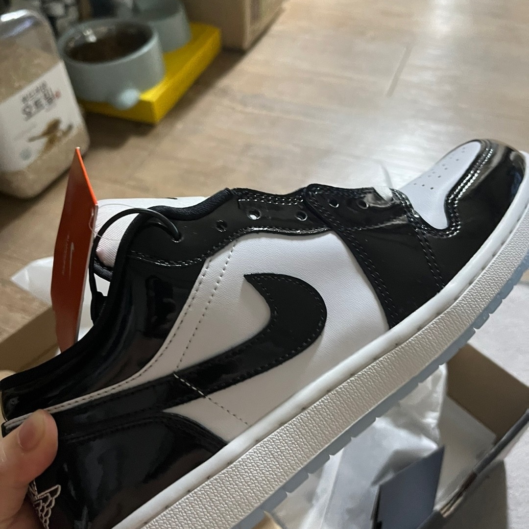 Jordan 1 Low SE Concord 착용 스타일