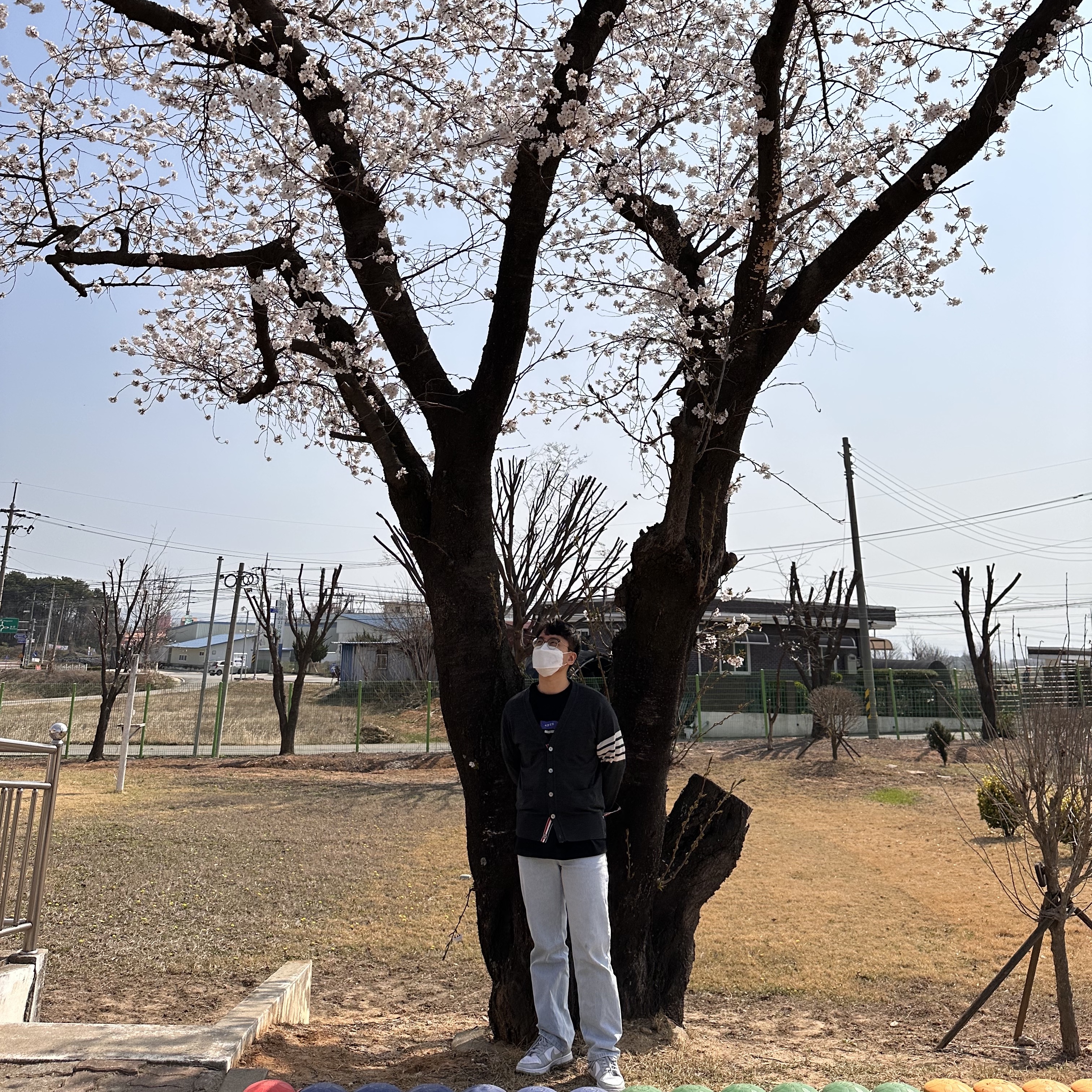 Nike Dunk Low Retro Grey Fog 착용 스타일 - 1