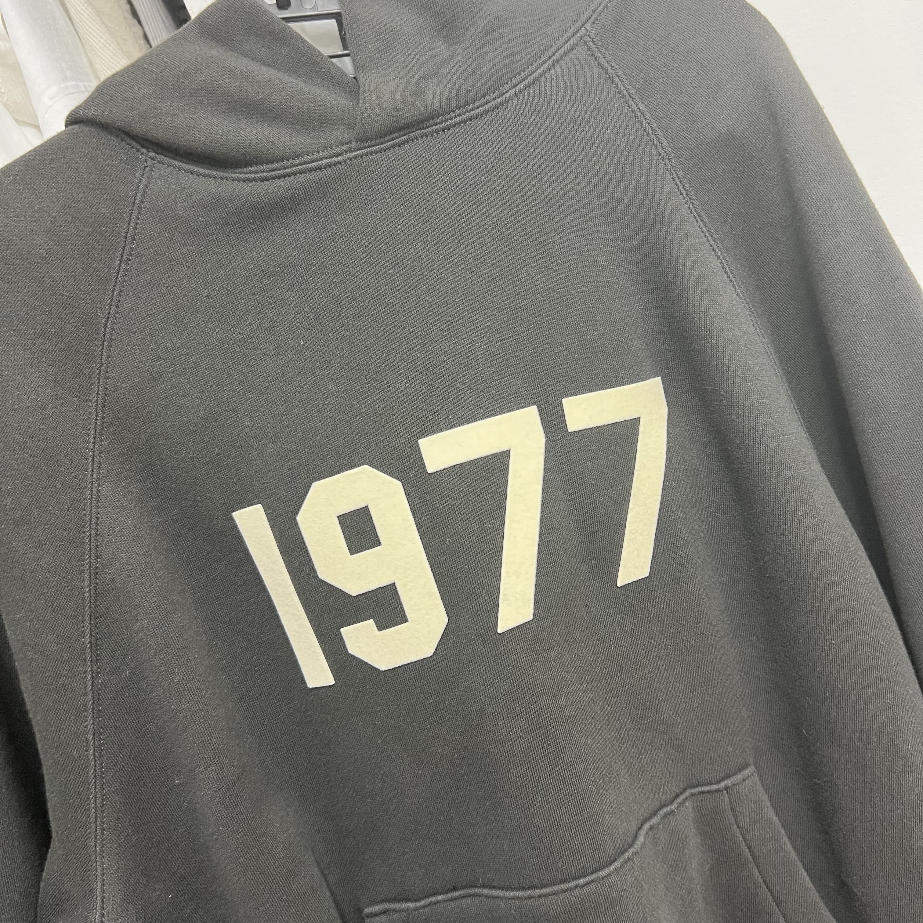 Essentials 1977 Hoodie Iron - 22SS 착용 스타일