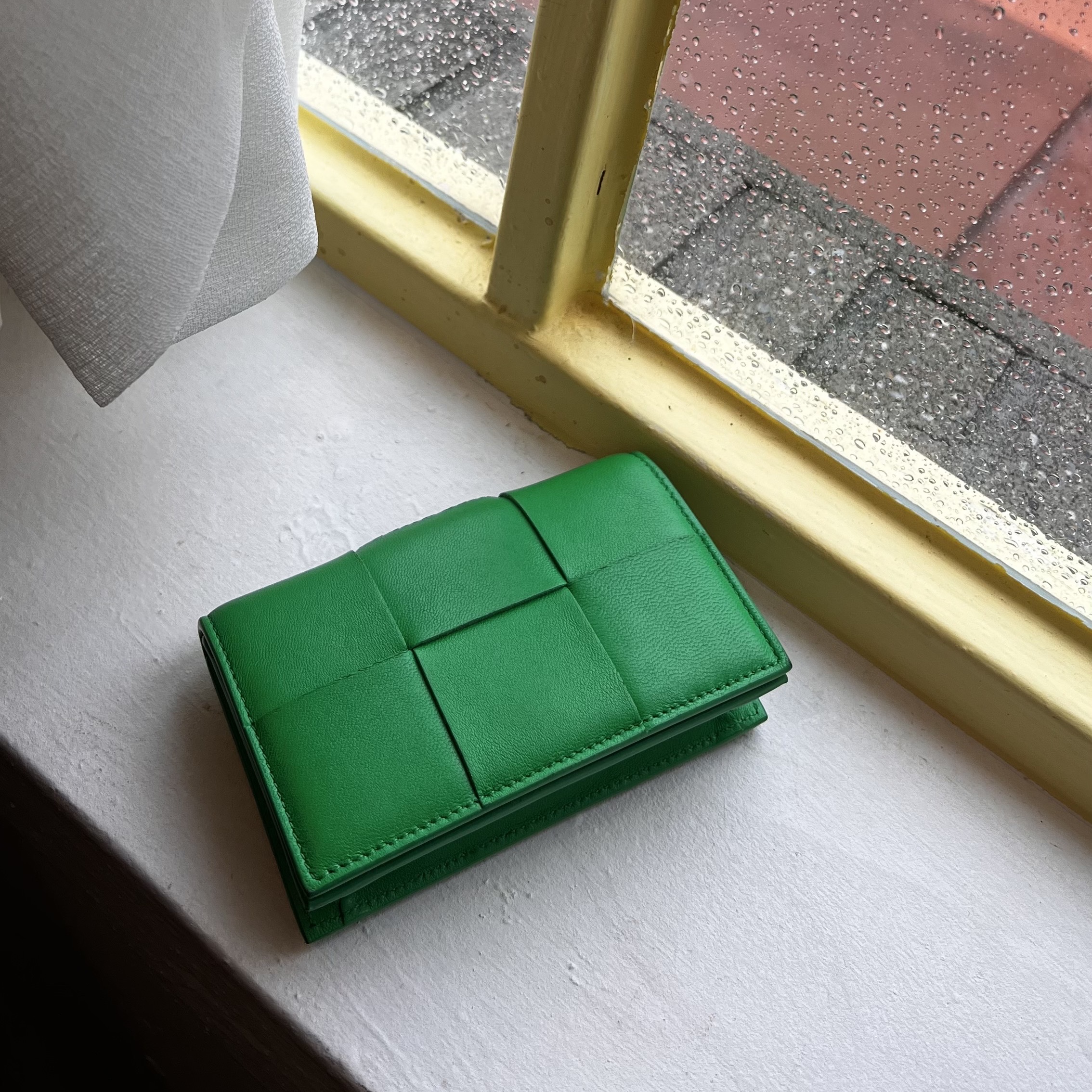 Bottega Veneta Business Card Case Parakeet 착용 스타일