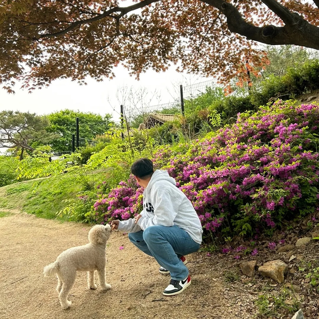 스투시 블록 스포츠 후드 집업 애쉬 헤더, 조던 1 x 유니온 레트로 하이 블랙토 착용 스타일 - 4