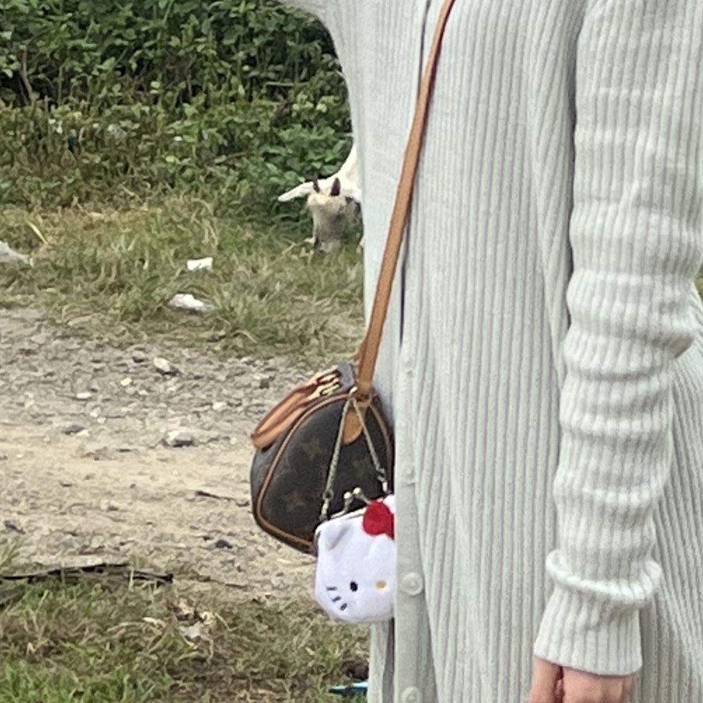 루이비통 스피디 반둘리에 20 모노그램 블랙 착용 스타일
