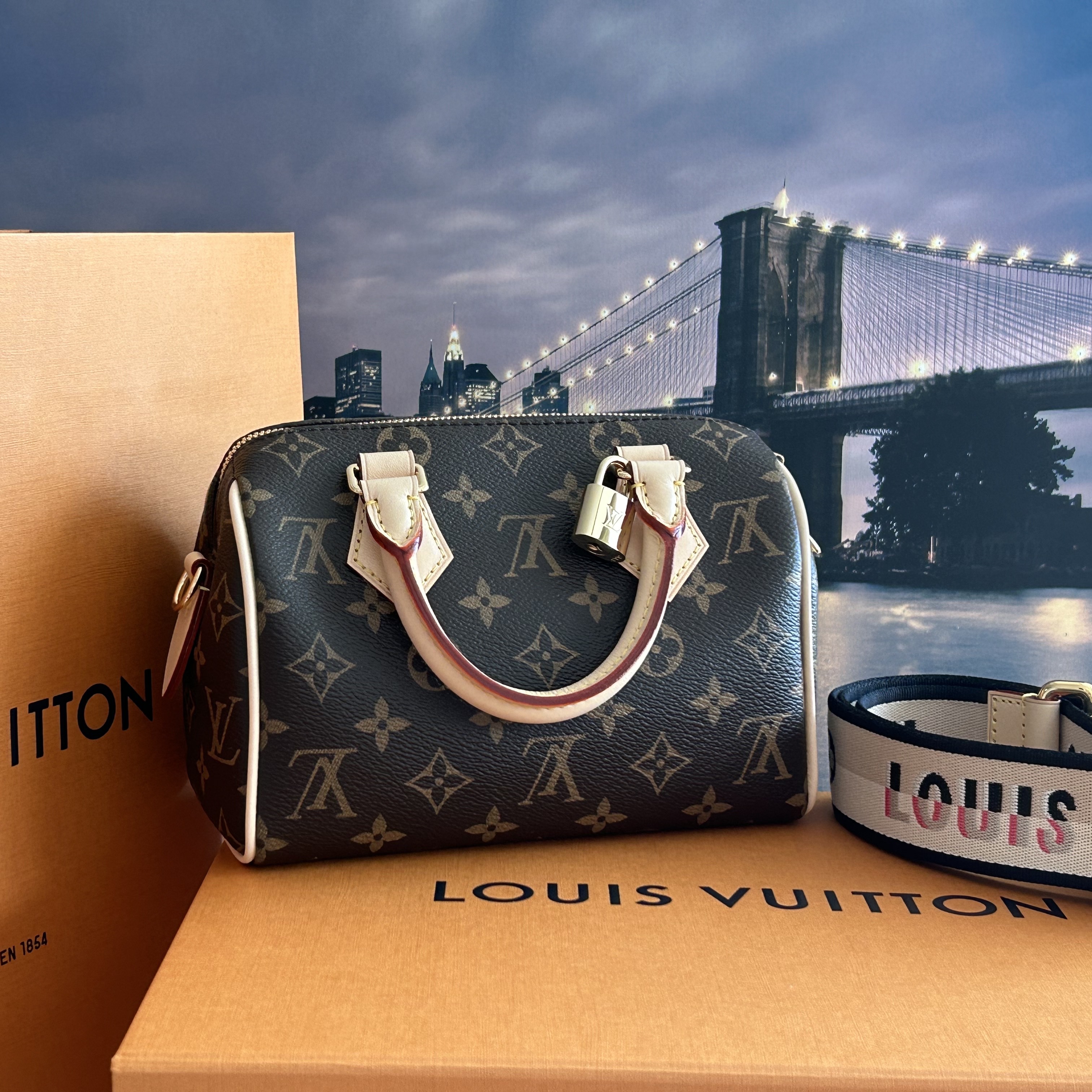 Louis Vuitton Speedy Bandouliere 20 Black 착용 스타일