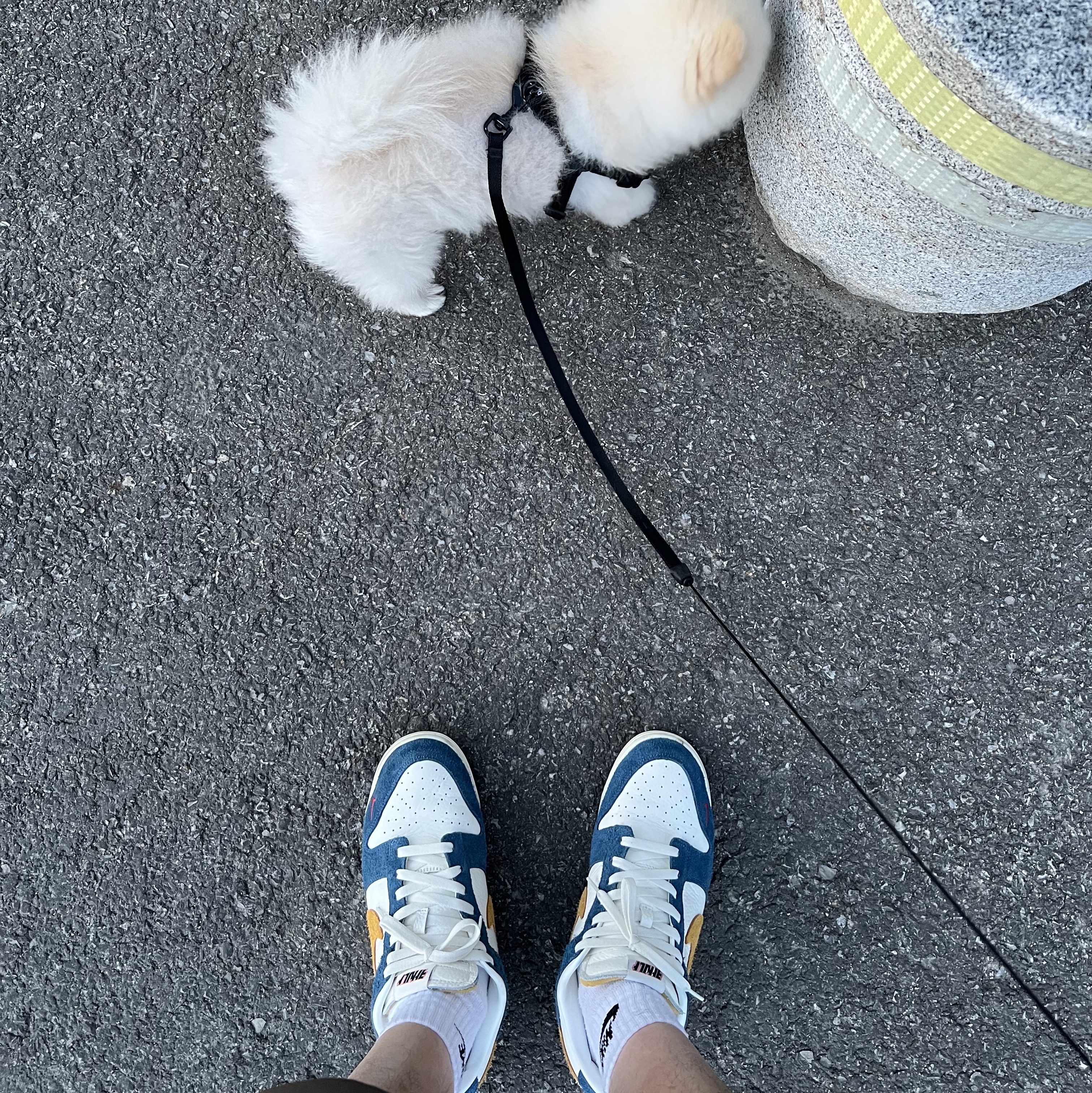 Nike x Kasina Dunk Low 80's Bus 착용 스타일