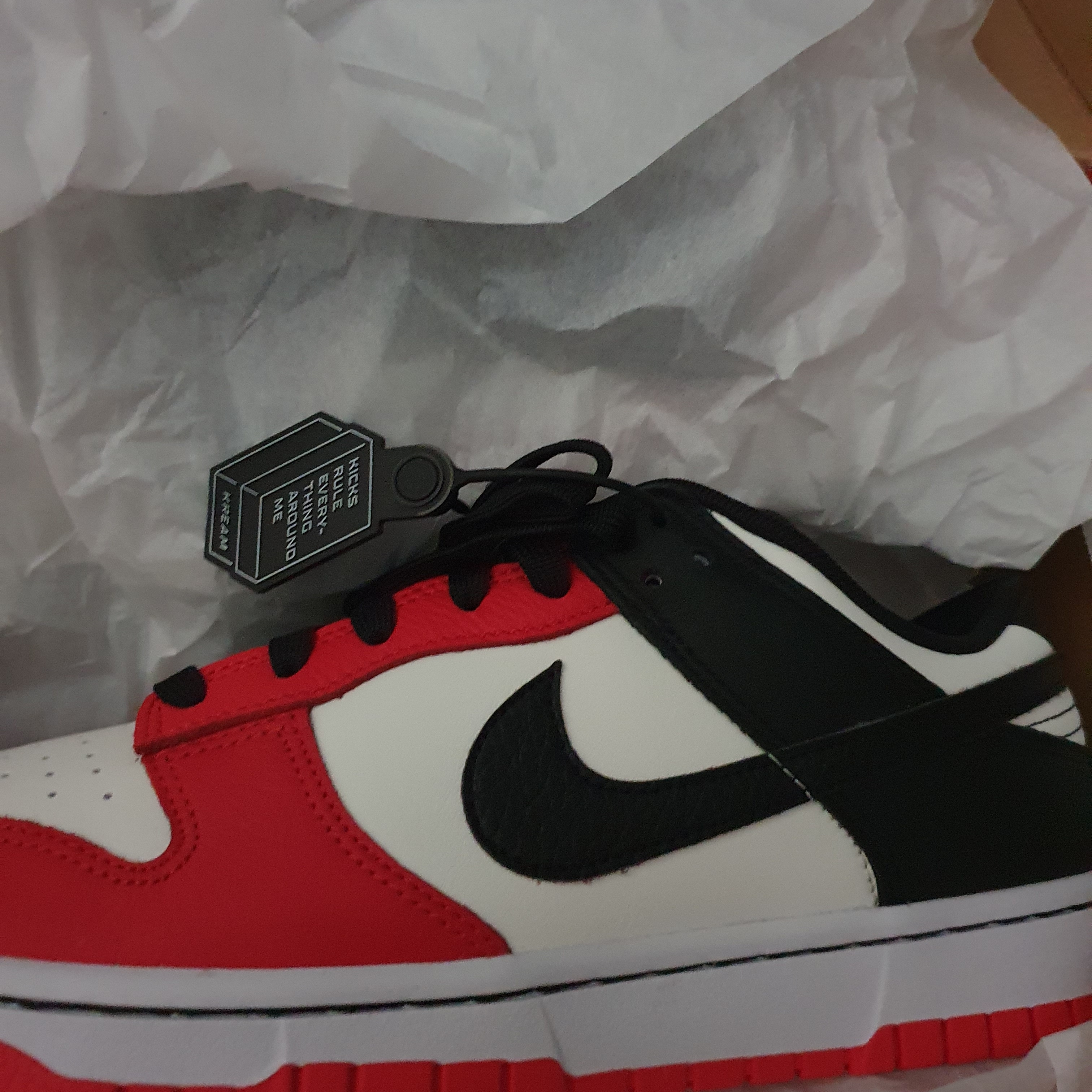 Nike x NBA Dunk Low Retro EMB Black and Chile Red 착용 스타일