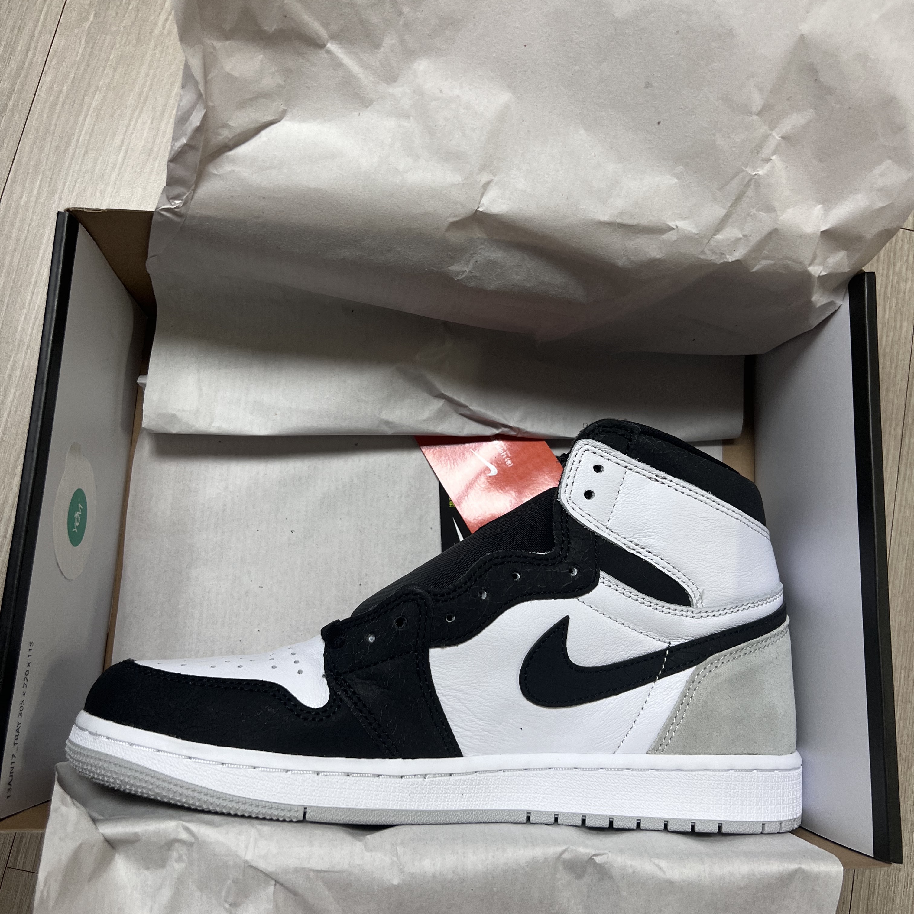 Jordan 1 Retro High OG Bleached Coral 착용 스타일 - 2