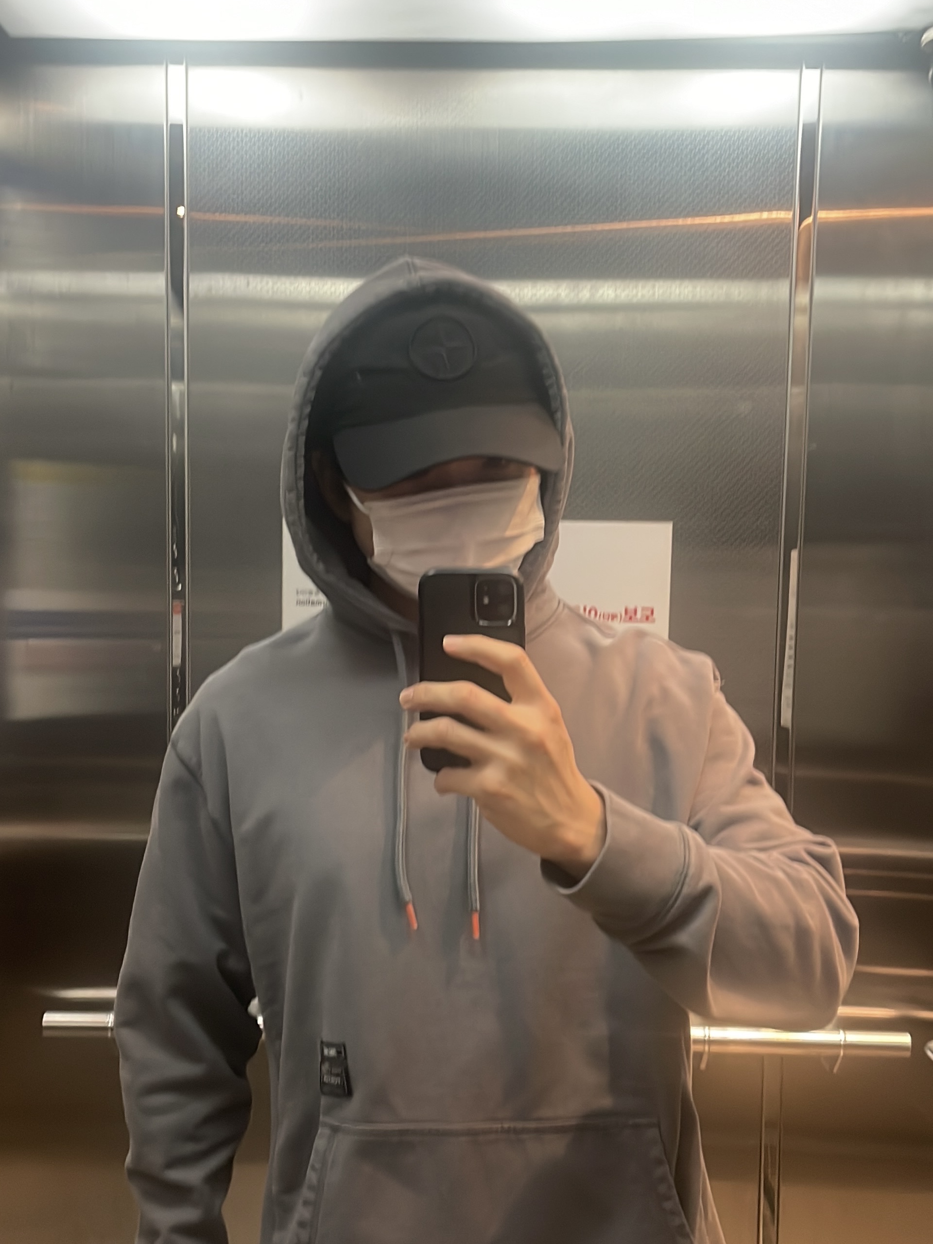 Palace x Porter Tri-Ferg Hoodie Gray 착용 스타일
