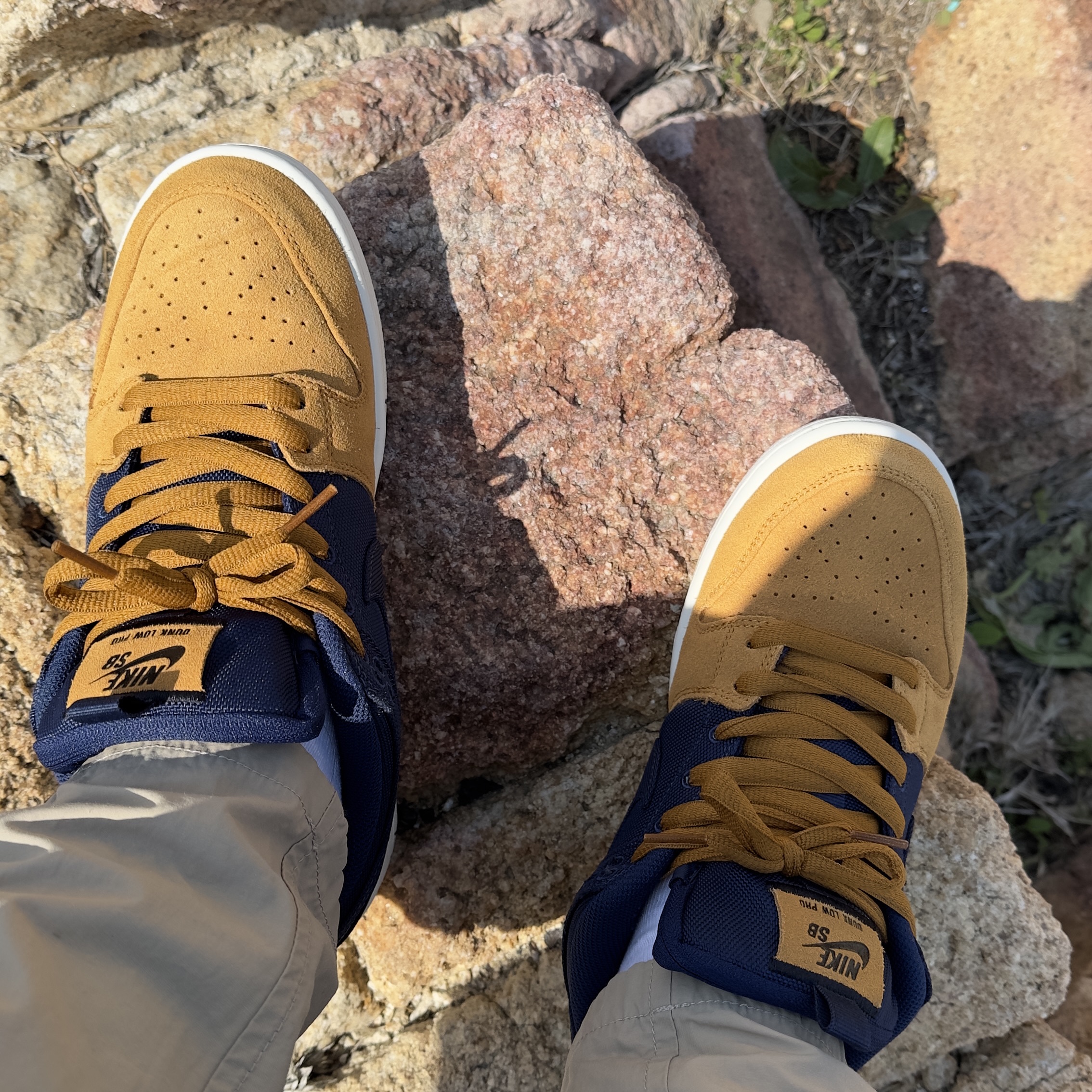 Nike SB Dunk Low Pro Premium Desert Ochre and Midnight Navy 착용 스타일 - 1