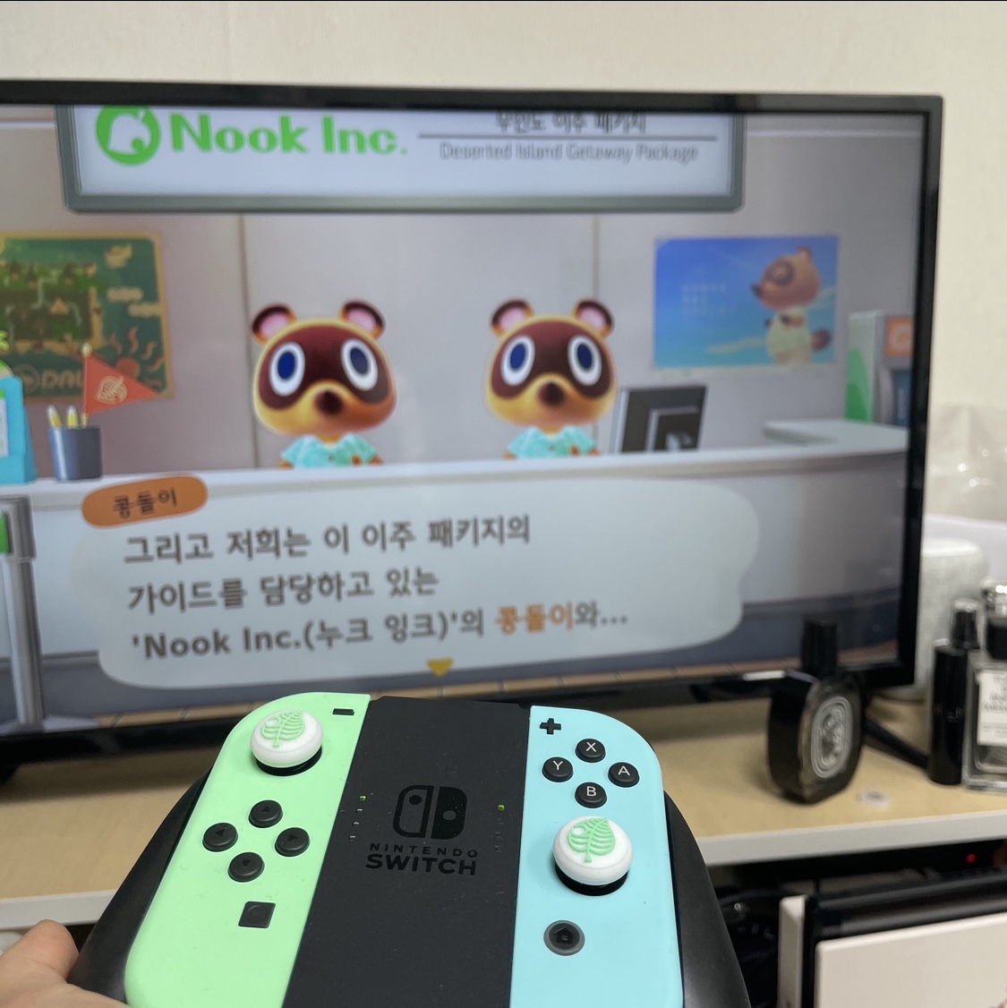 닌텐도 스위치 동물의 숲 에디션 (국내 정식 발매 제품) 착용 스타일 - 2