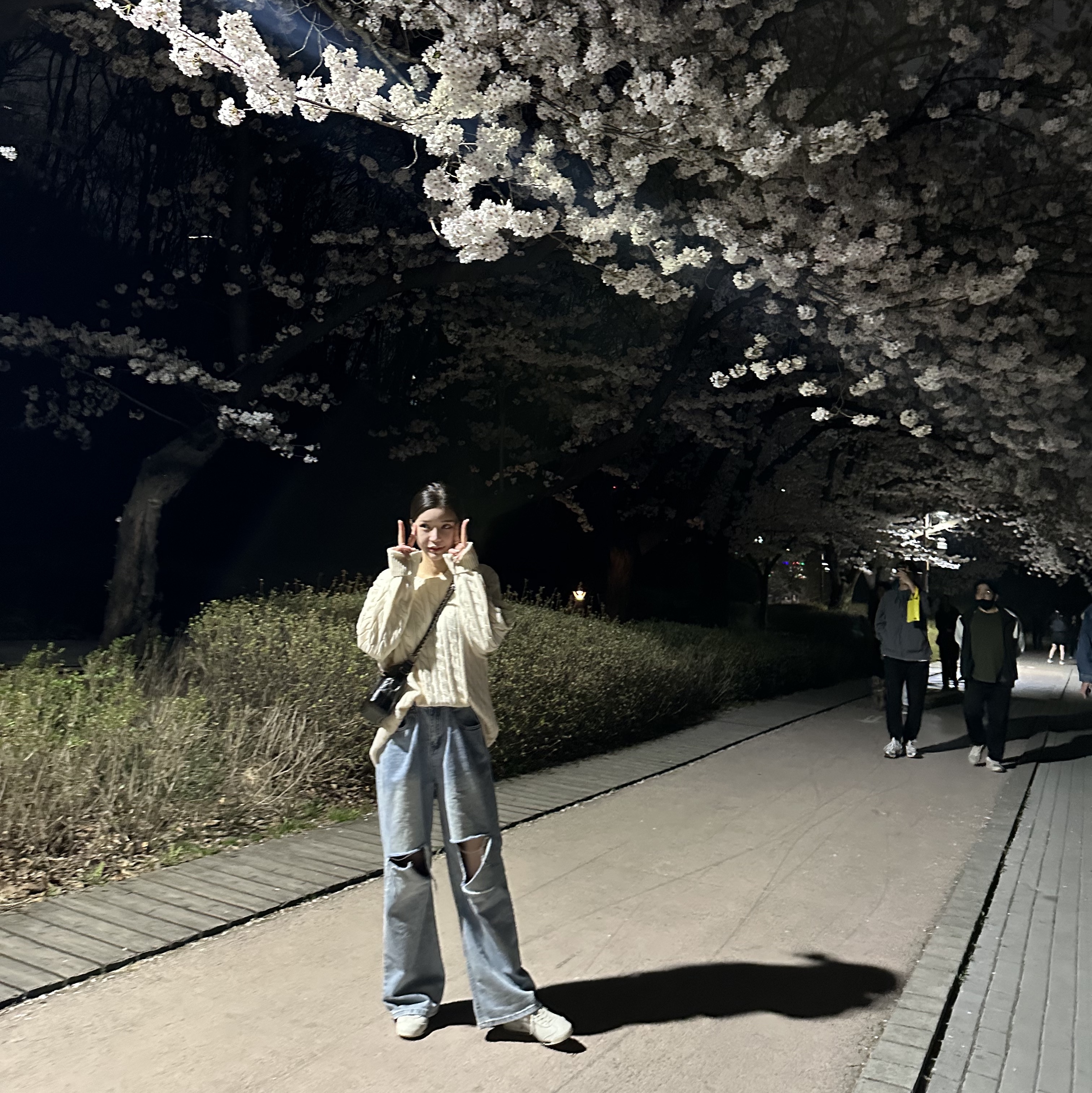 오니츠카 타이거 멕시코 66 SD 버치 실버, 샤넬 가브리엘 스몰 호보백 빈티지 카프스킨 & 골드 메탈 블랙 착용 스타일 - 2