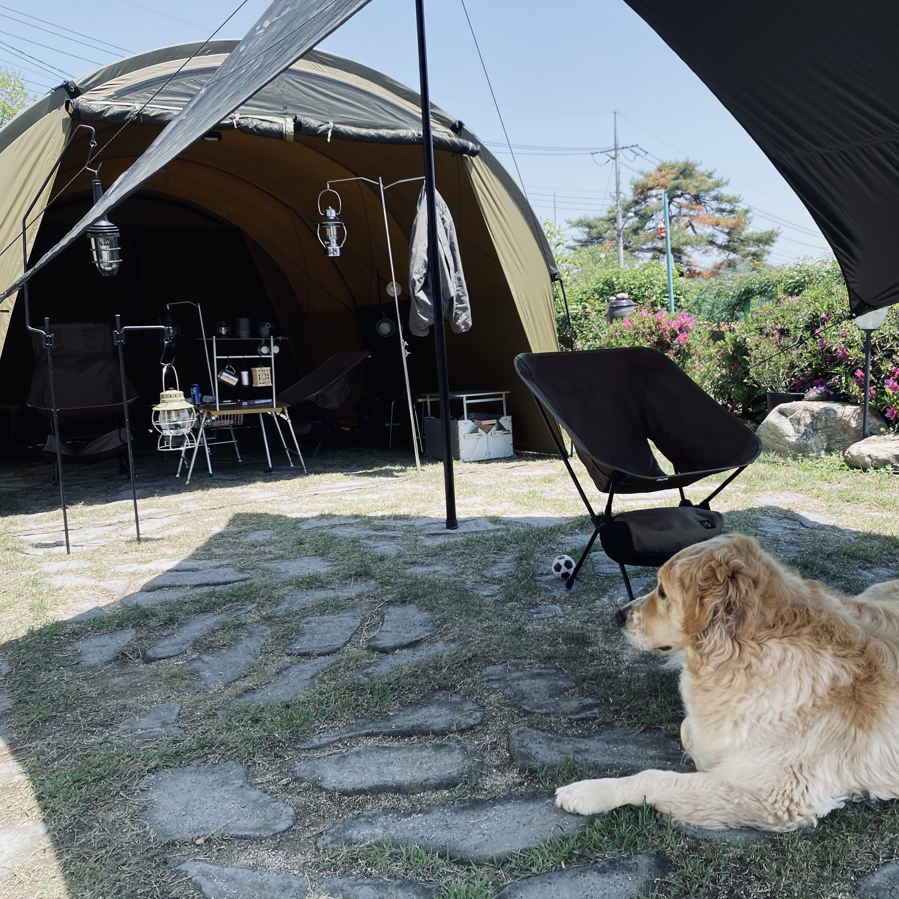 Helinox Tactical Chair L Coyote Tan 착용 스타일