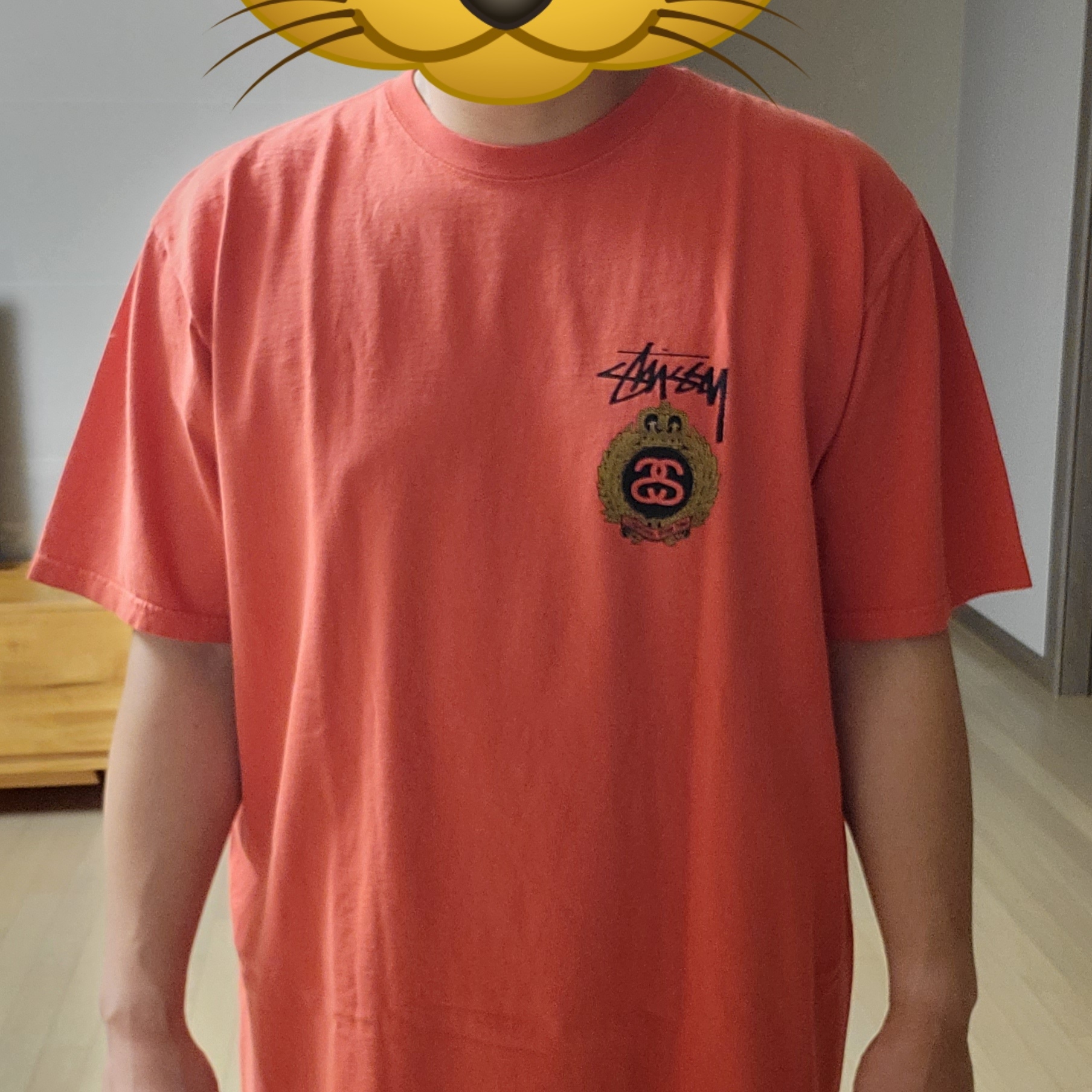 Stussy Crown Wreath Pigment Dyed T-Shirt Tomato 착용 스타일 - 2