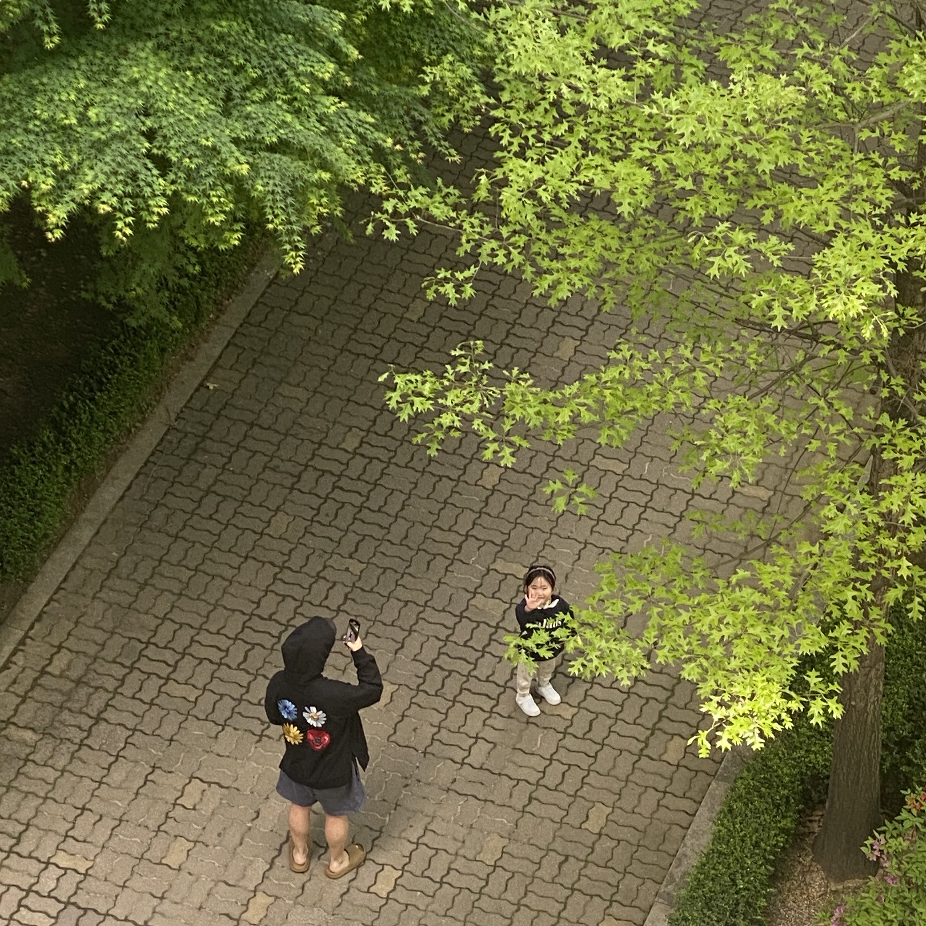 Adidas Yeezy Slide Ochre, (TD) Nike Court Borough Mid 2 Triple White 착용 스타일