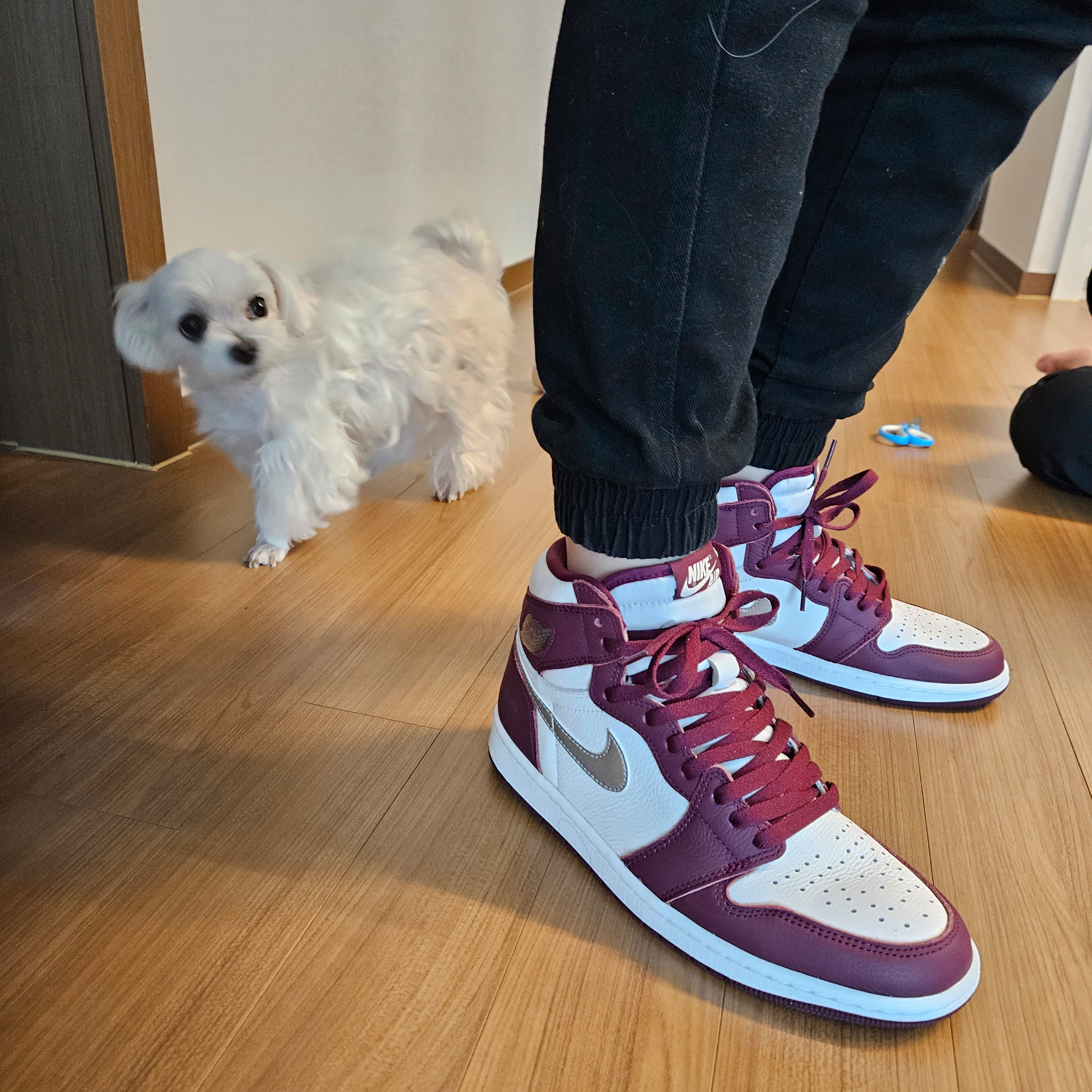 Jordan 1 Retro High OG Bordeaux 착용 스타일