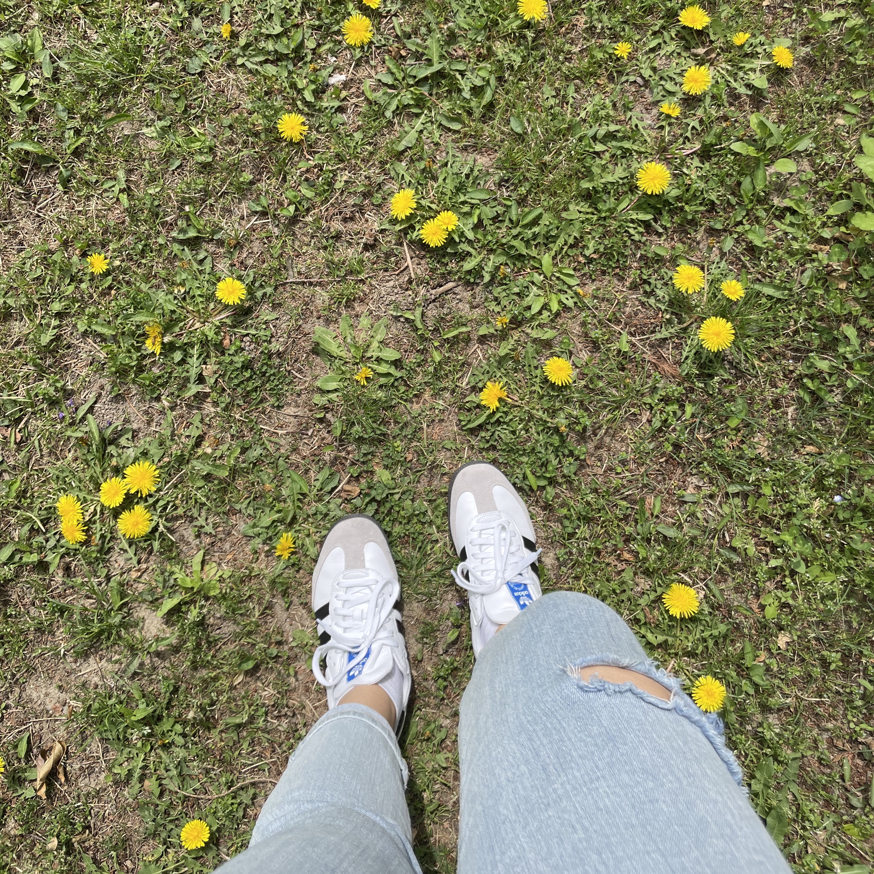 Adidas Samba OG Cloud White 착용 스타일 - 2