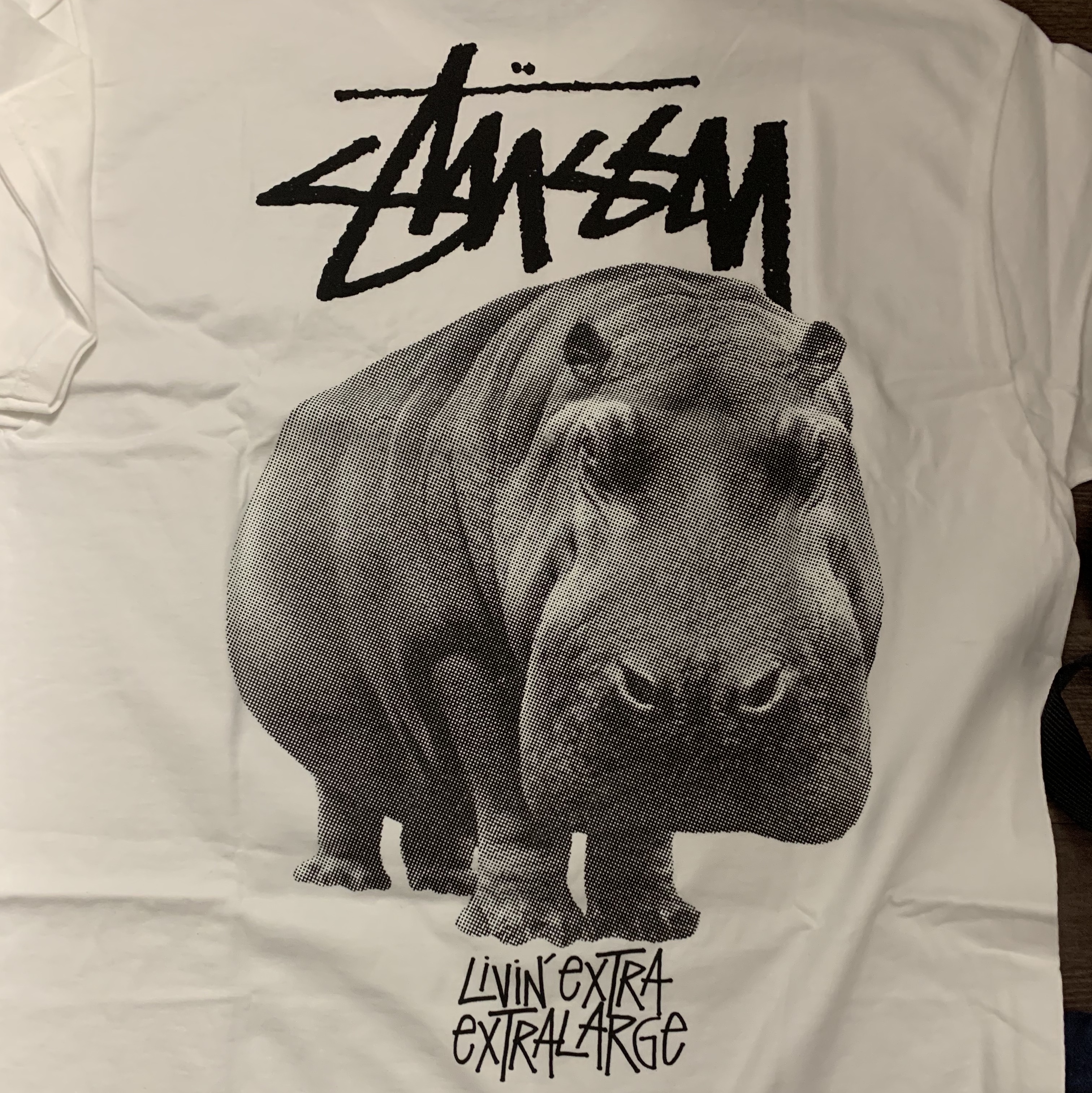 Stussy Livin' Large T-Shirt White 착용 스타일