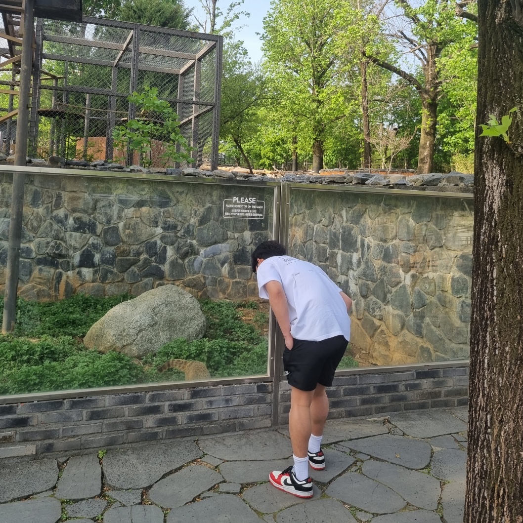 나이키 x NBA 덩크 로우 레트로 EMB 블랙 앤 칠리 레드 착용 스타일