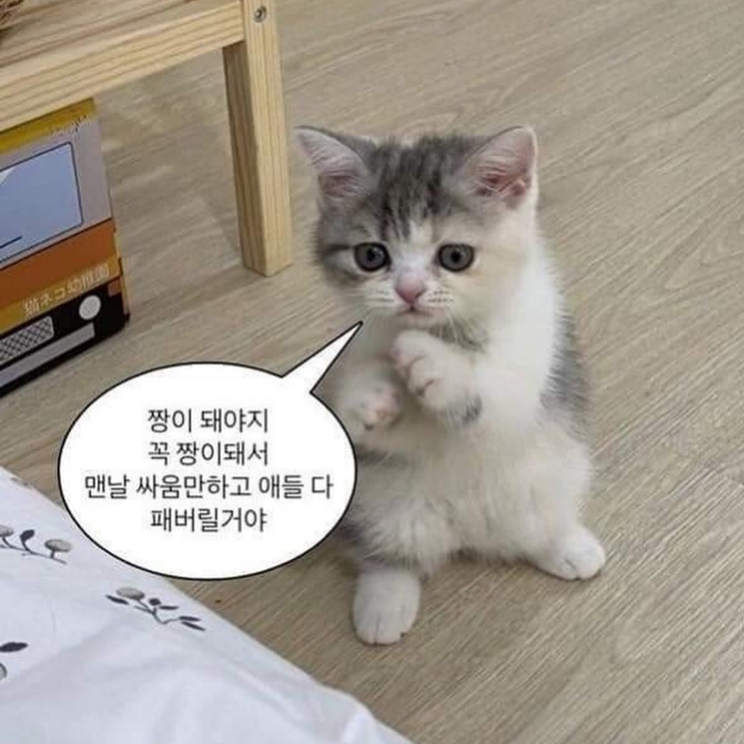 니들스 트랙 자켓 폴리 스무스 아이스 화이트, 컨버스 x 아더에러 척 70 하이 화이트 착용 스타일 - 2