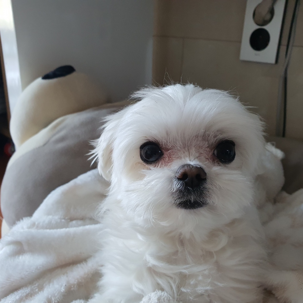 sunny.P님의 스타일