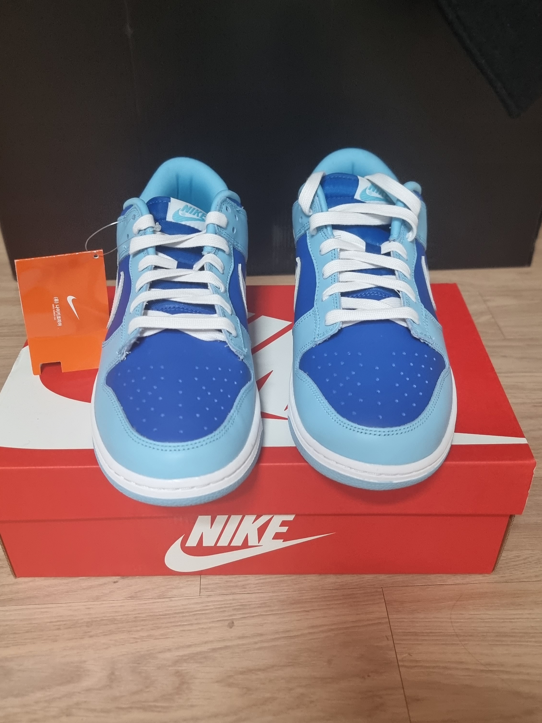 Nike Dunk Low Retro QS Argon 착용 스타일 - 1