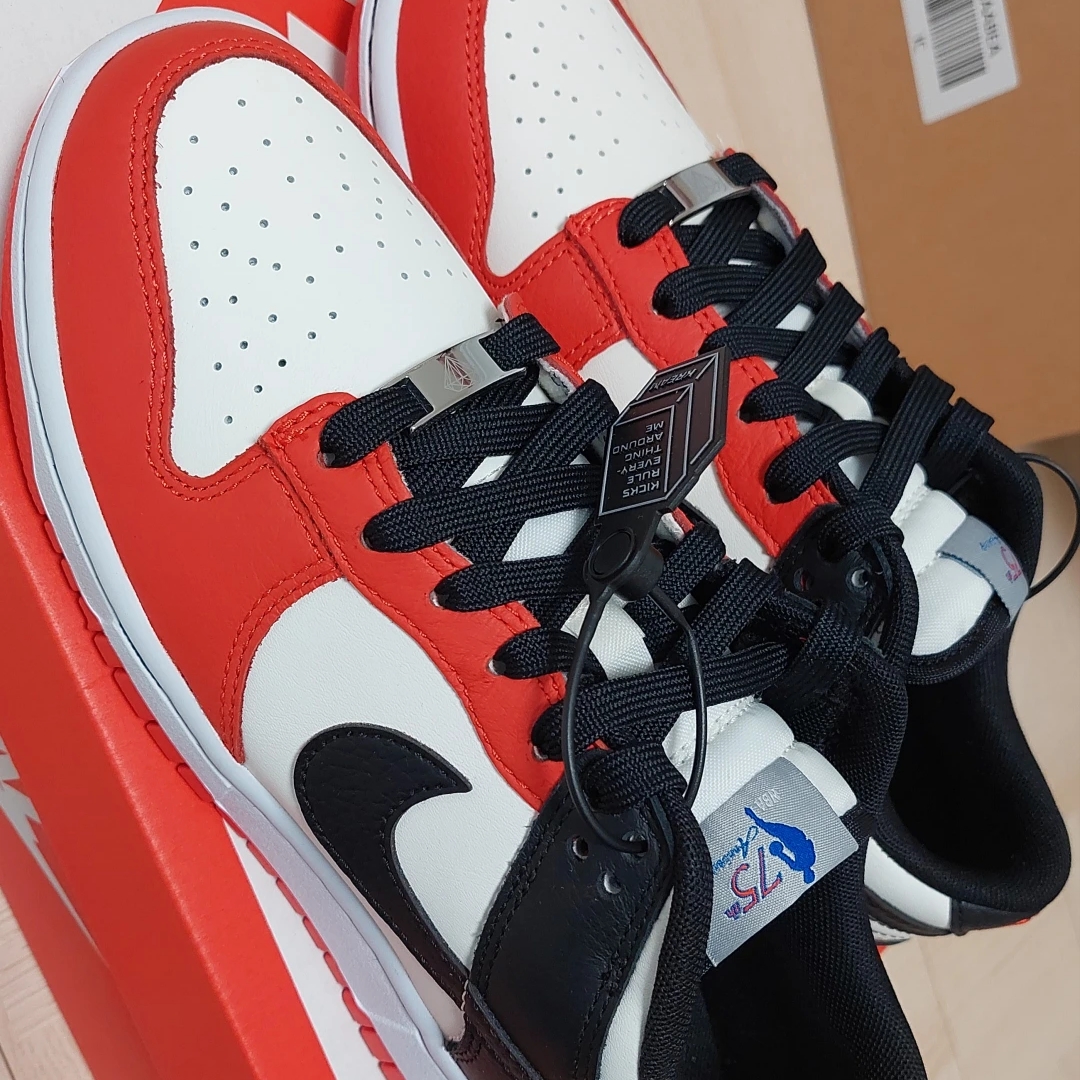 Nike x NBA Dunk Low Retro EMB Black and Chile Red 착용 스타일