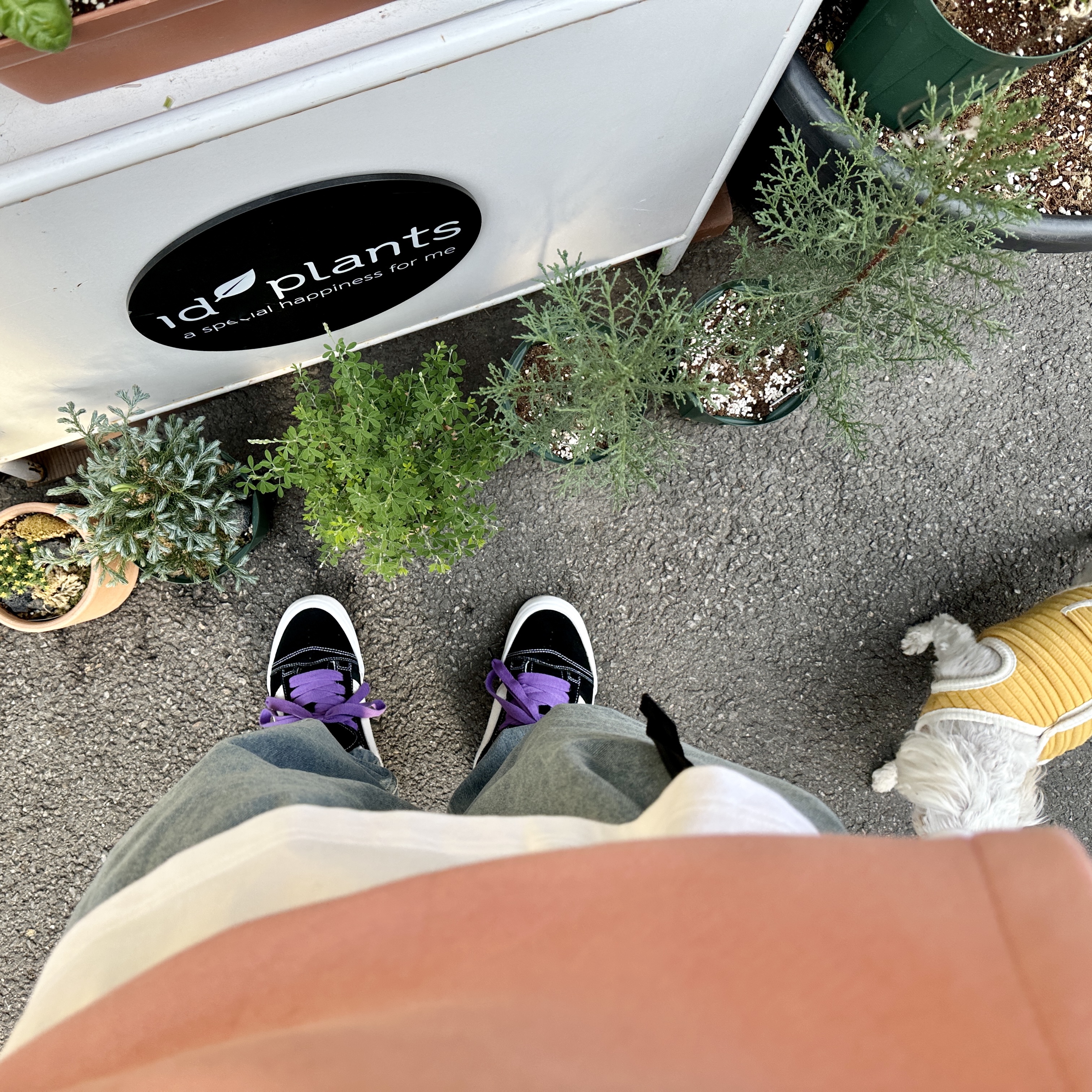 Vans Vault x Imran Potato Knu-Skool VR3 LX Black White, Apple Watch Ultra 49mm Titanium Case with M Alpine Loop Orange (Korean Ver.) 착용 스타일 - 2